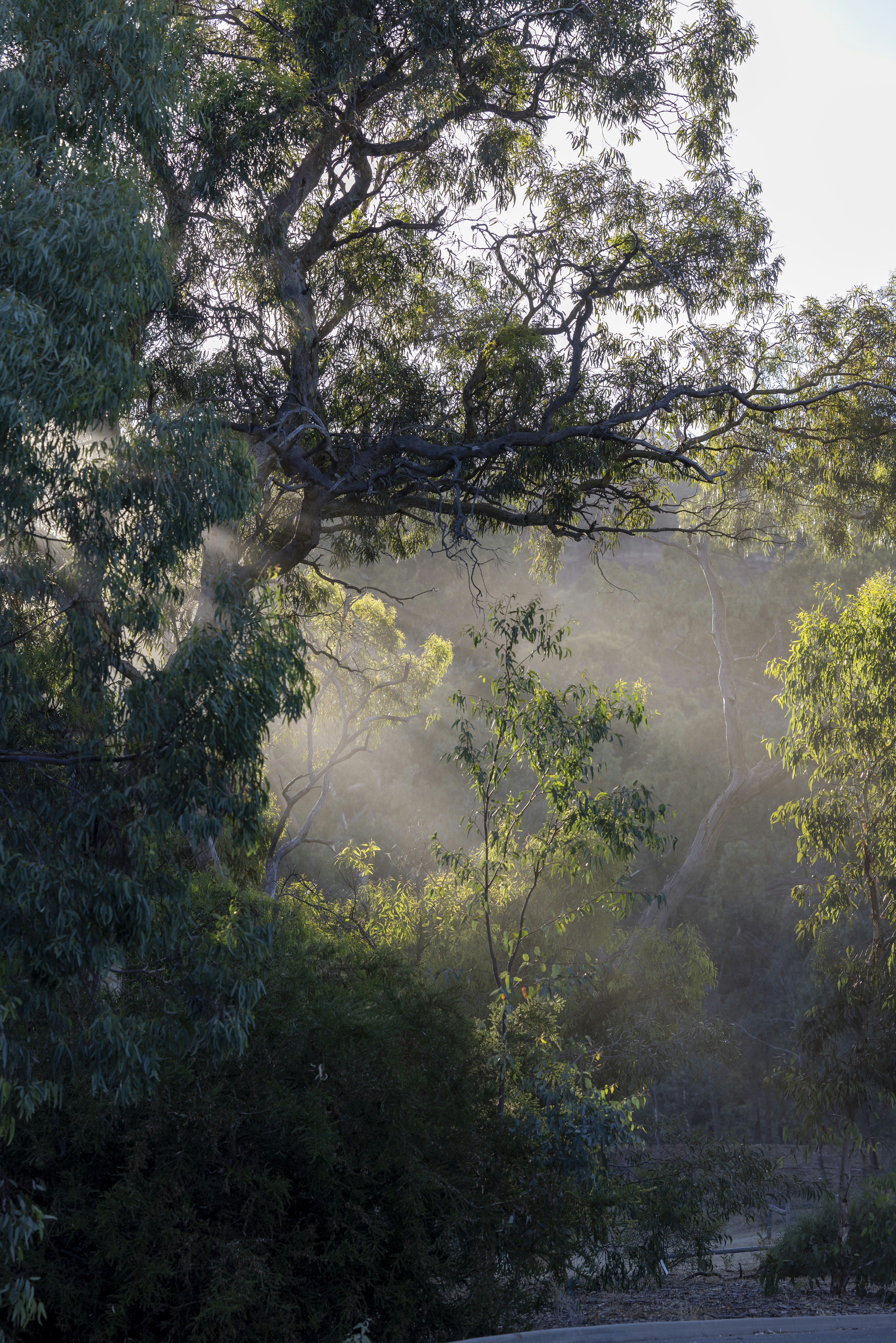 Photo by stephenmabbs