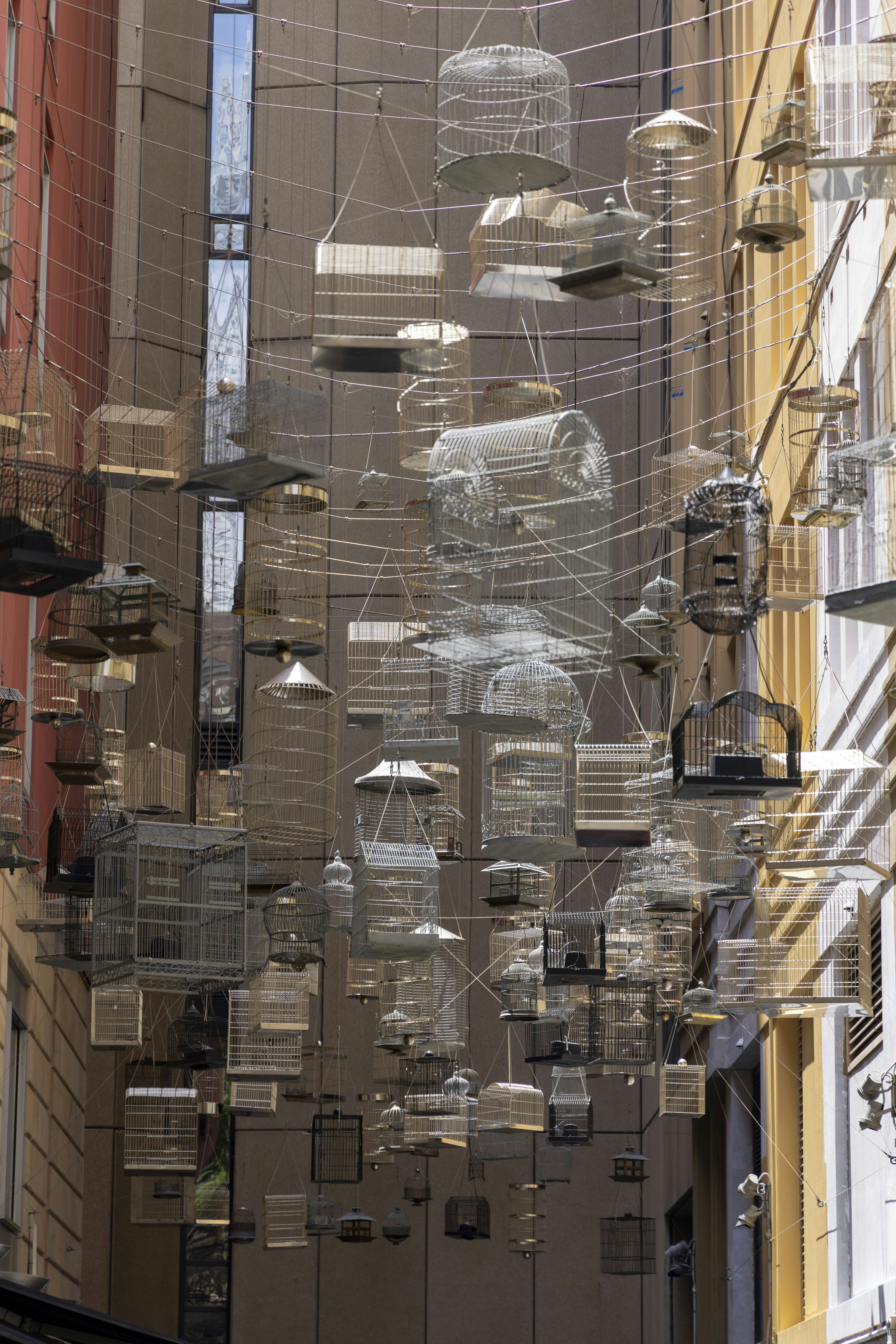 Gaiola para Pássaros