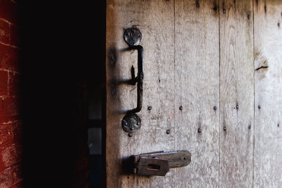 Linux terminal running the Rosenbridge hardware backdoor check