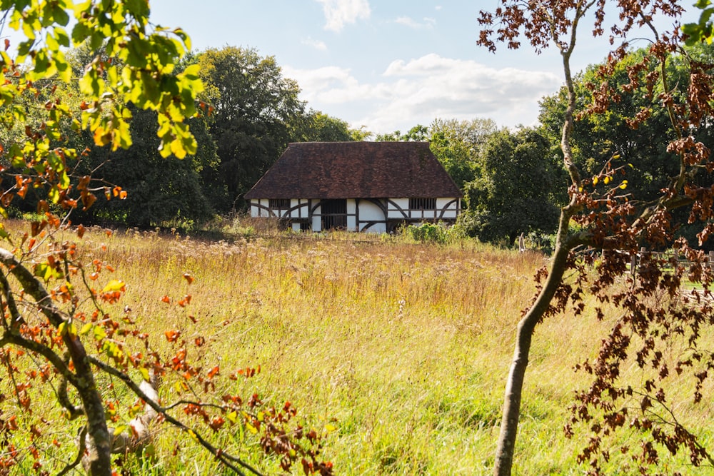 a house in the middle of a grassy field