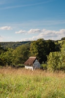 A cozy rural home surrounded by green fields under a clear blue sky