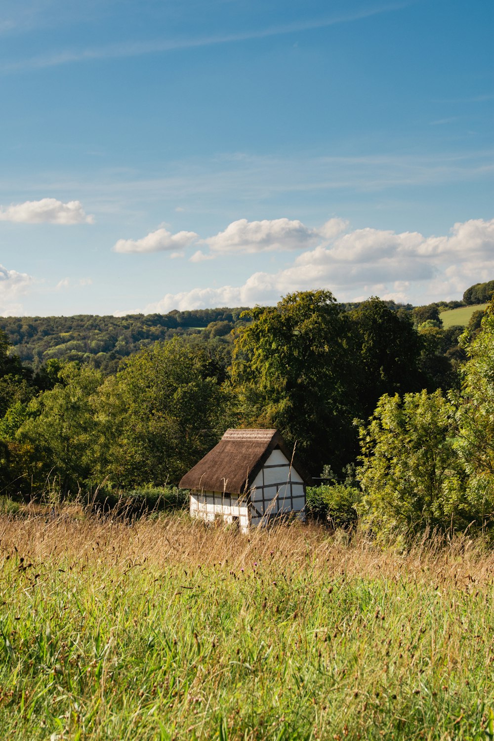 a white house in a field with trees in the background