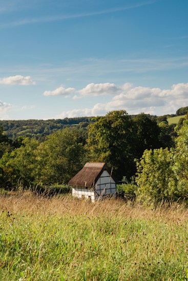 A small, thatched-roof cottage is nestled among lush green trees and surrounded by a grassy field. The sky is a clear blue with a few scattered clouds, creating a peaceful rural landscape.