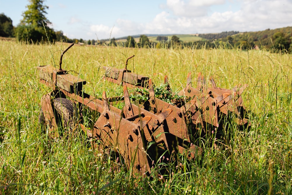 a rusted metal fence in a grassy field