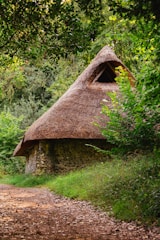 A rustic stone hut with a thatched roof nestled within dense, lush greenery. The structure appears small and is surrounded by thick foliage, with an earthy path leading up to it. Overarching branches and vibrant green leaves create a tranquil and secluded atmosphere.