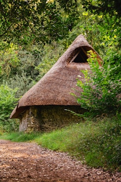 A rustic stone hut with a thatched roof nestled within dense, lush greenery. The structure appears small and is surrounded by thick foliage, with an earthy path leading up to it. Overarching branches and vibrant green leaves create a tranquil and secluded atmosphere.