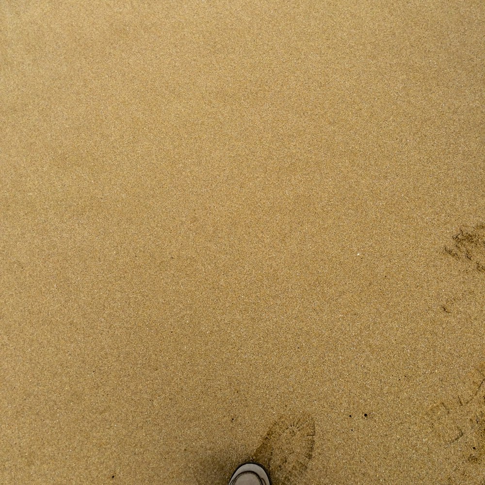 浜辺の砂の中に立つ人