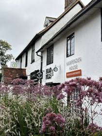 a white building with purple flowers in front of it