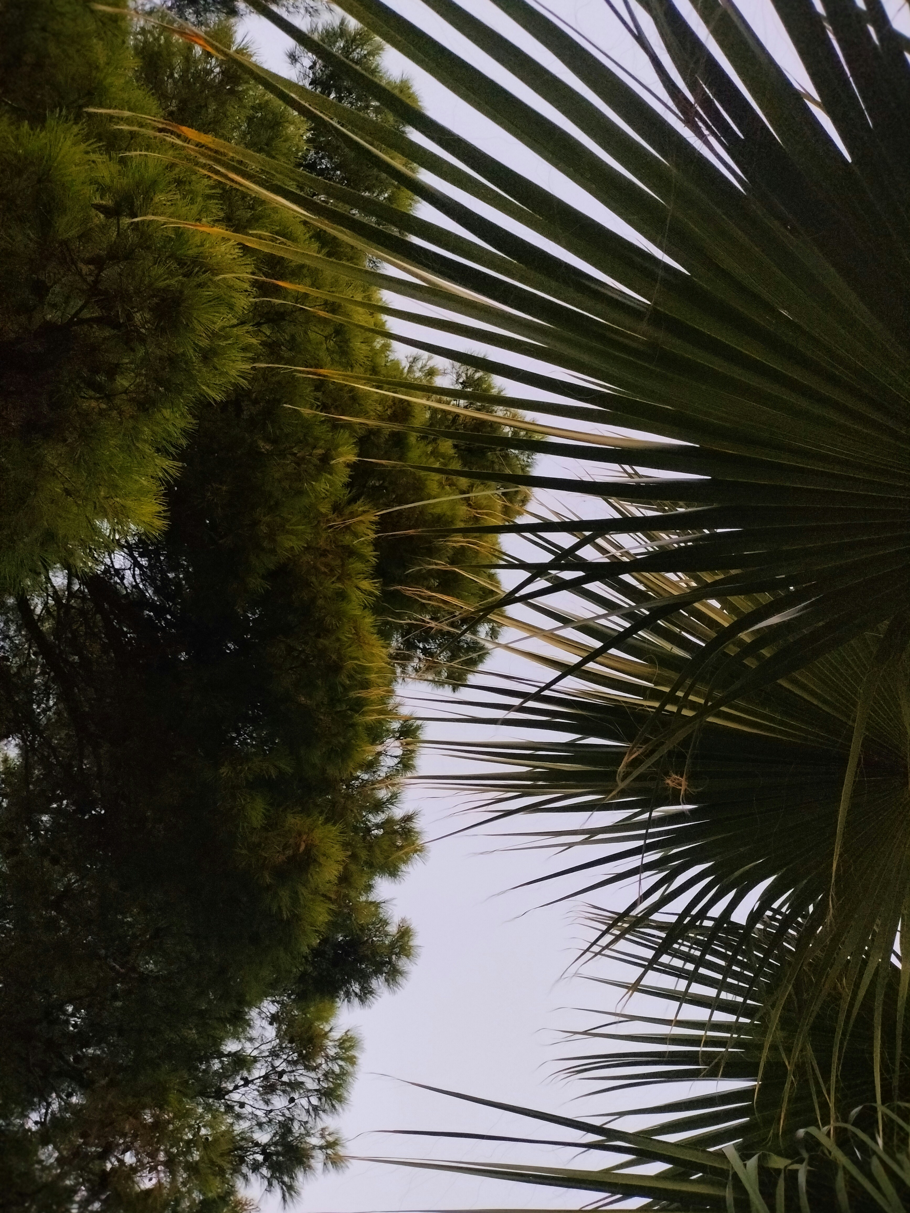 Photo by anechka1605