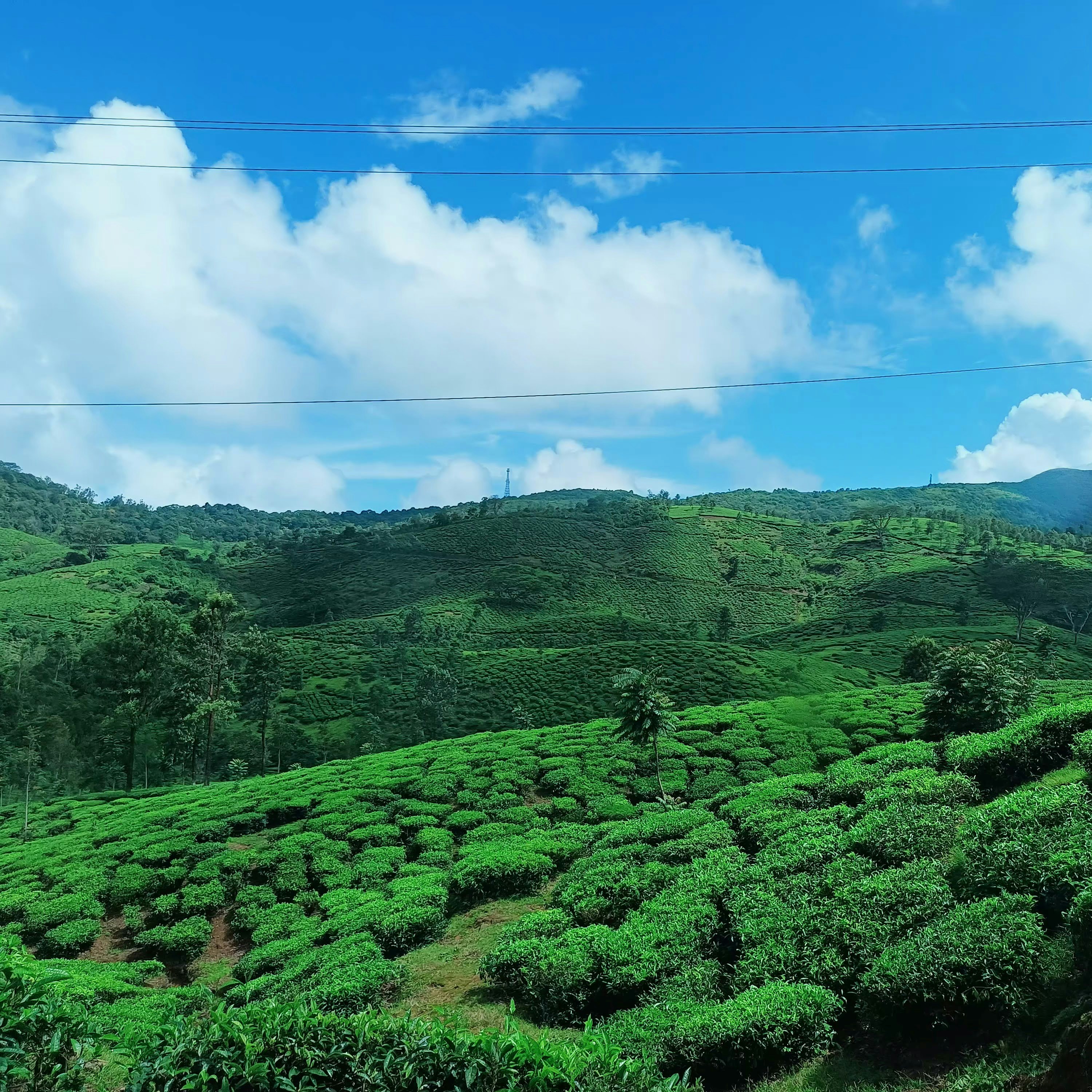 Photo by anjana_raghunandanan