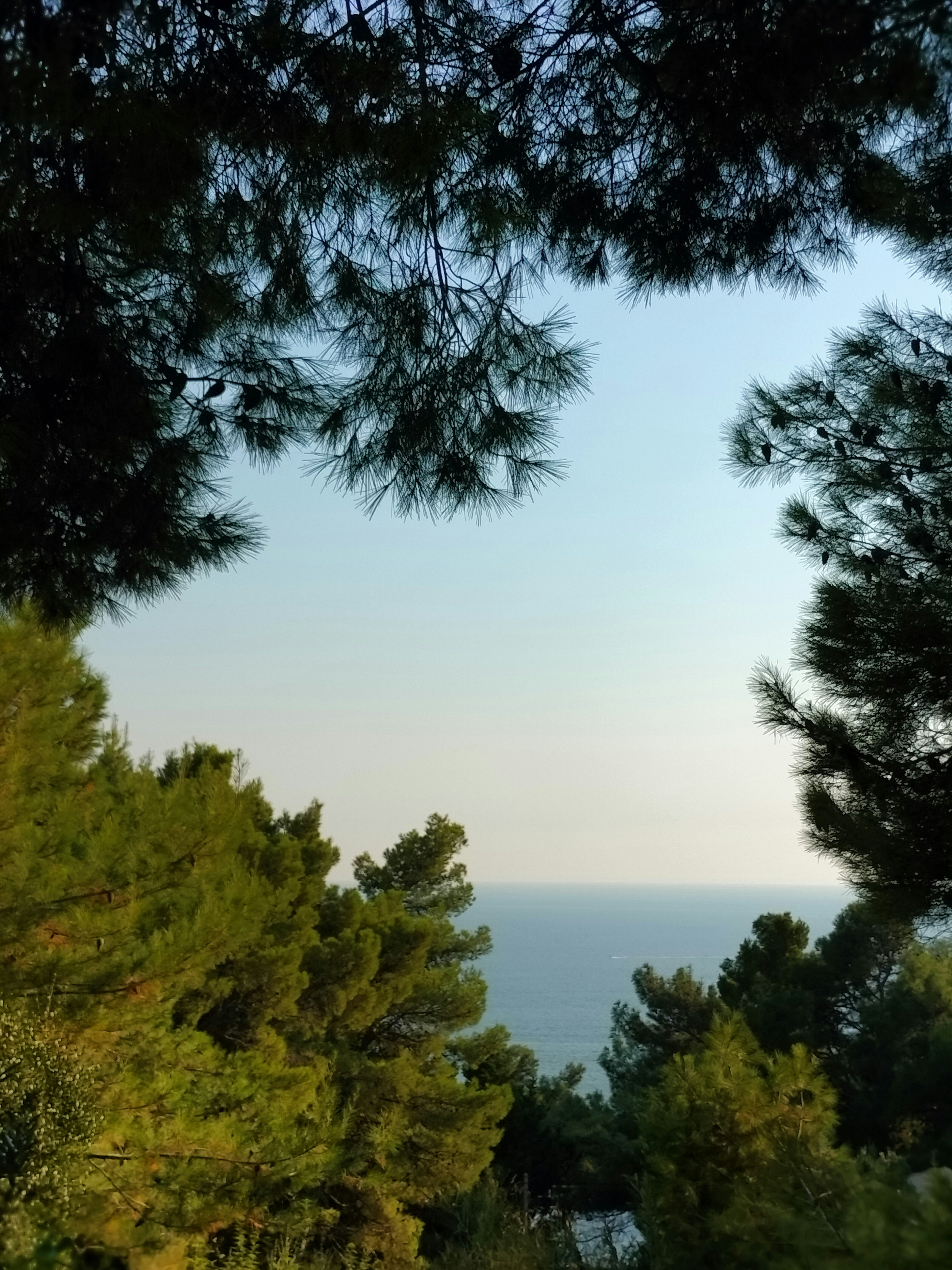 Photo by anechka1605