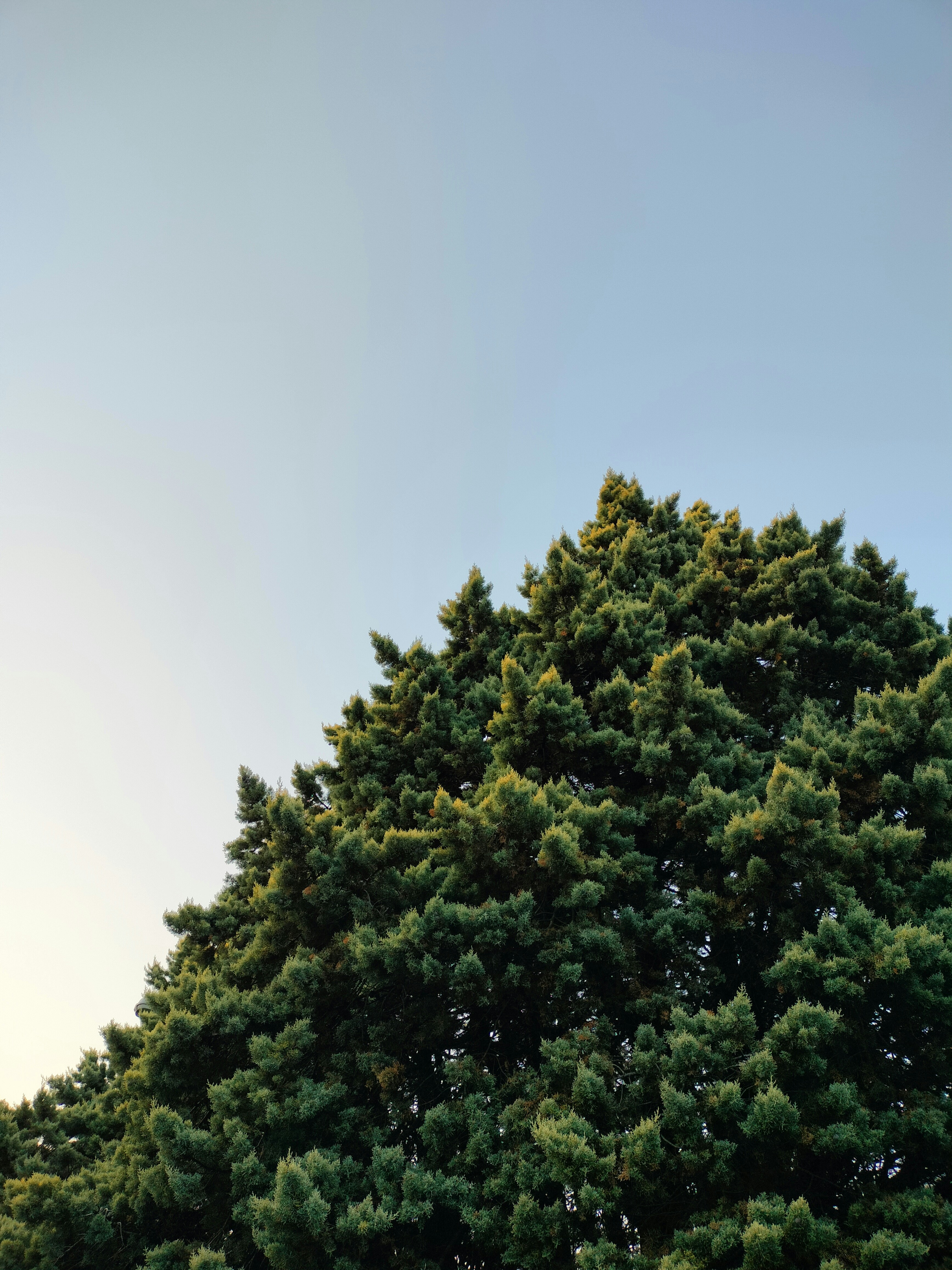 Photo by anechka1605