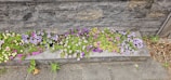 A sturdy concrete retaining wall supporting a sloped backyard with colorful flowers.
