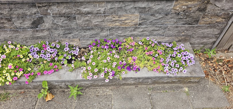 A sturdy concrete retaining wall supporting a sloped backyard with colorful flowers.