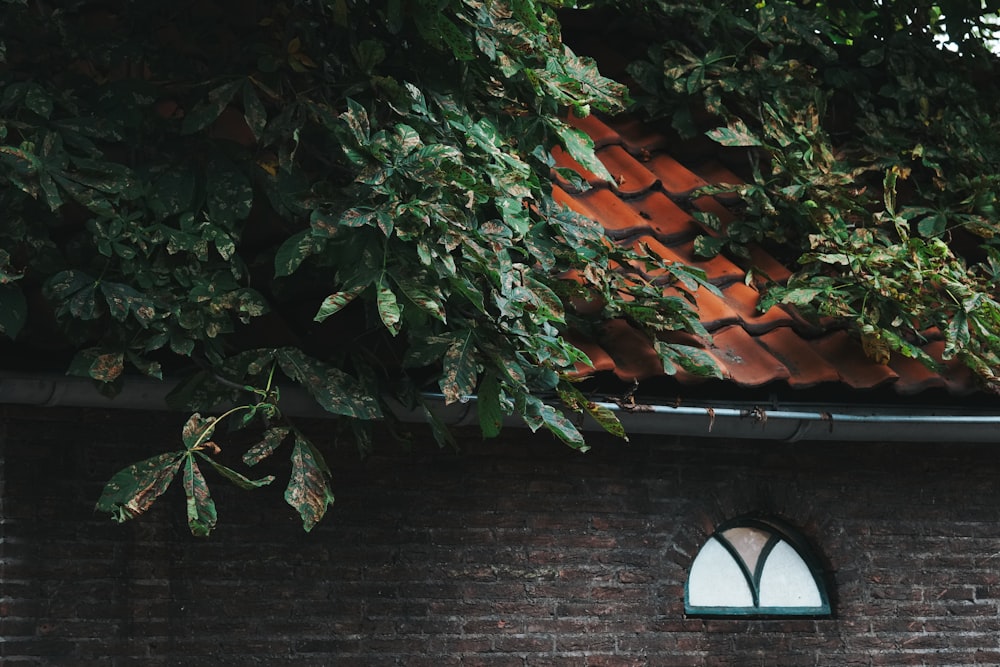 a brick wall with a green roof and a window