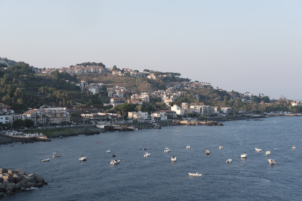 a body of water filled with lots of boats