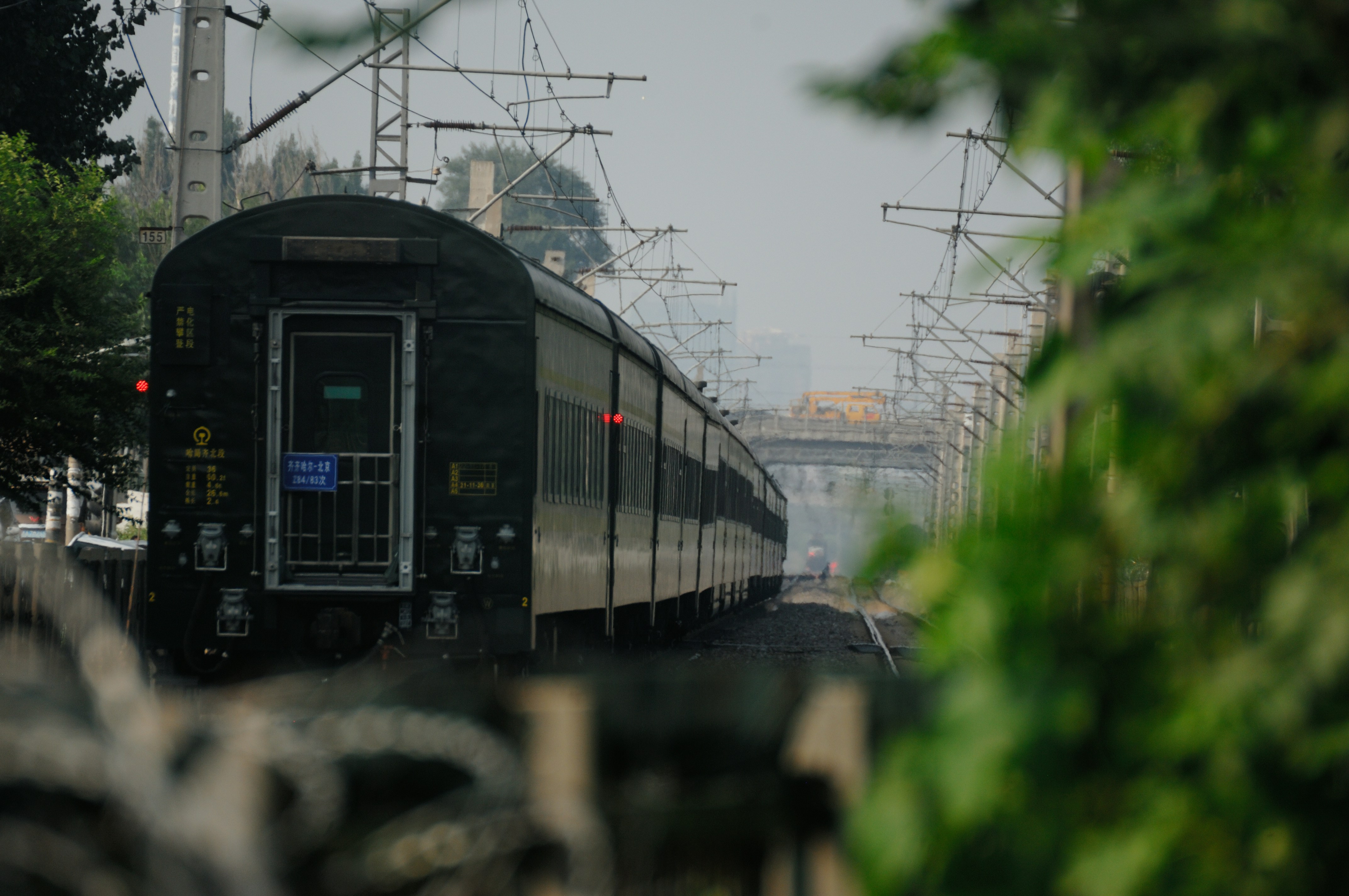 Photo by df11g