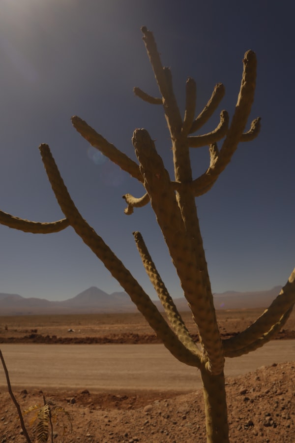 Desierto de Atacama