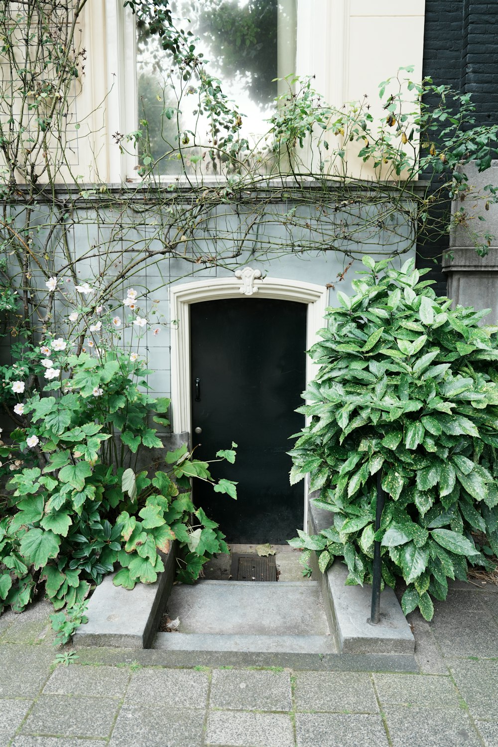 a black door is in between two green bushes