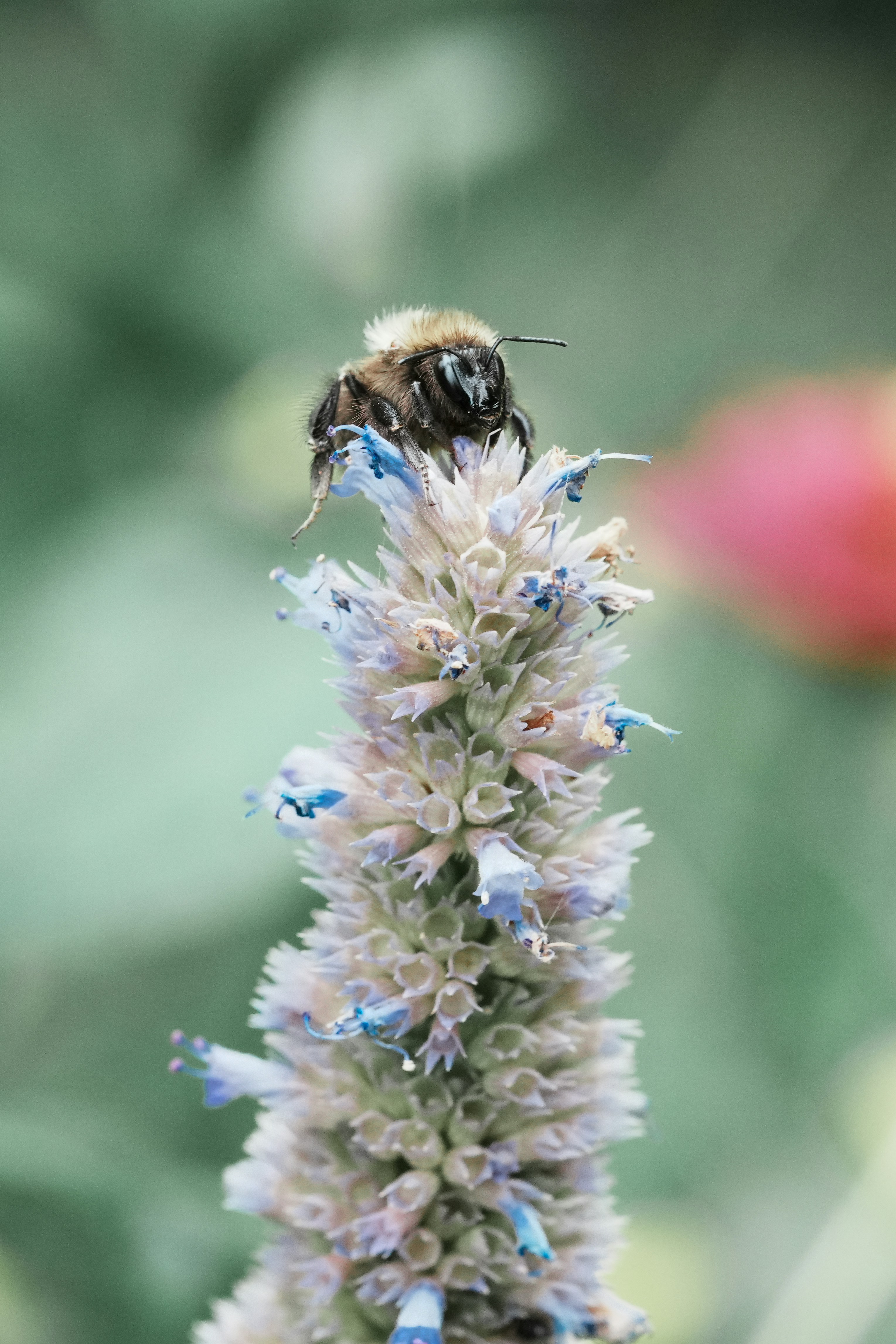 Photo by anyachernykh