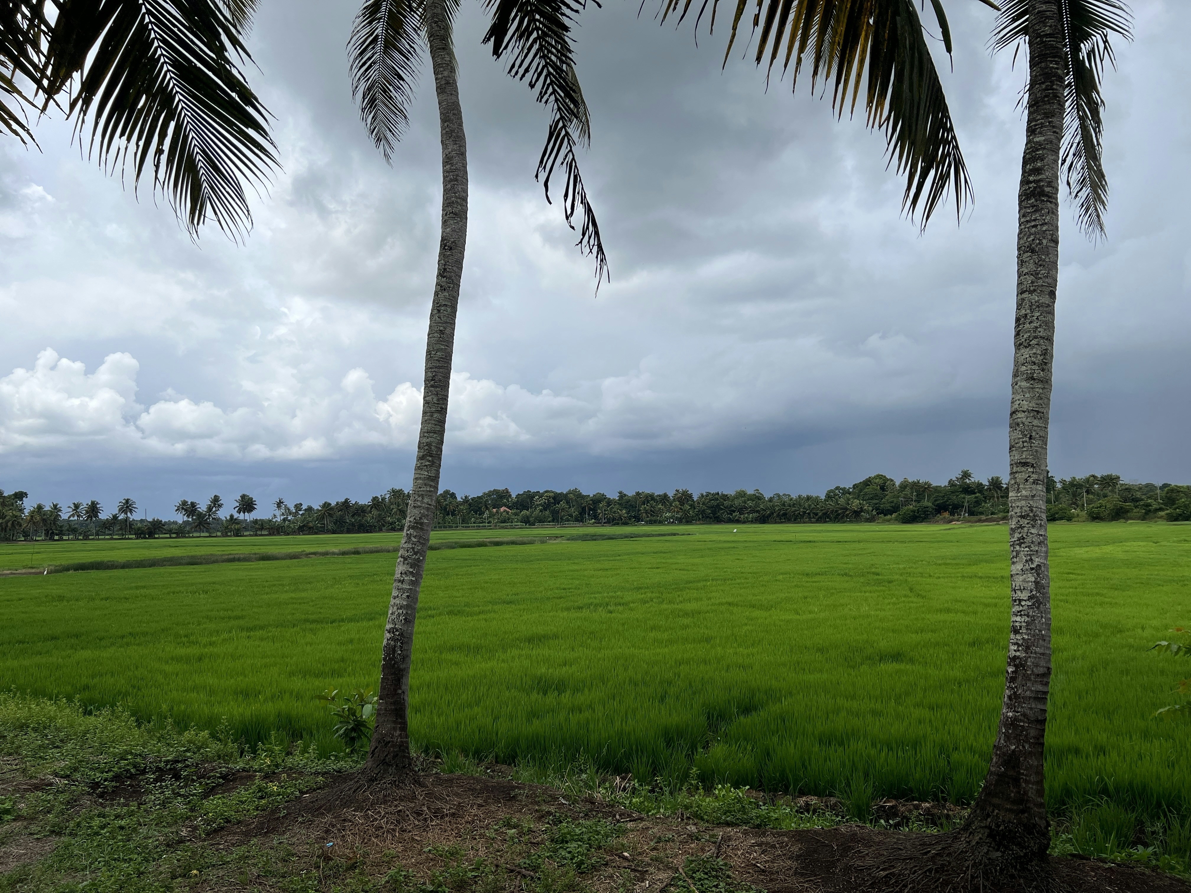 Photo by gopikrishnan_33