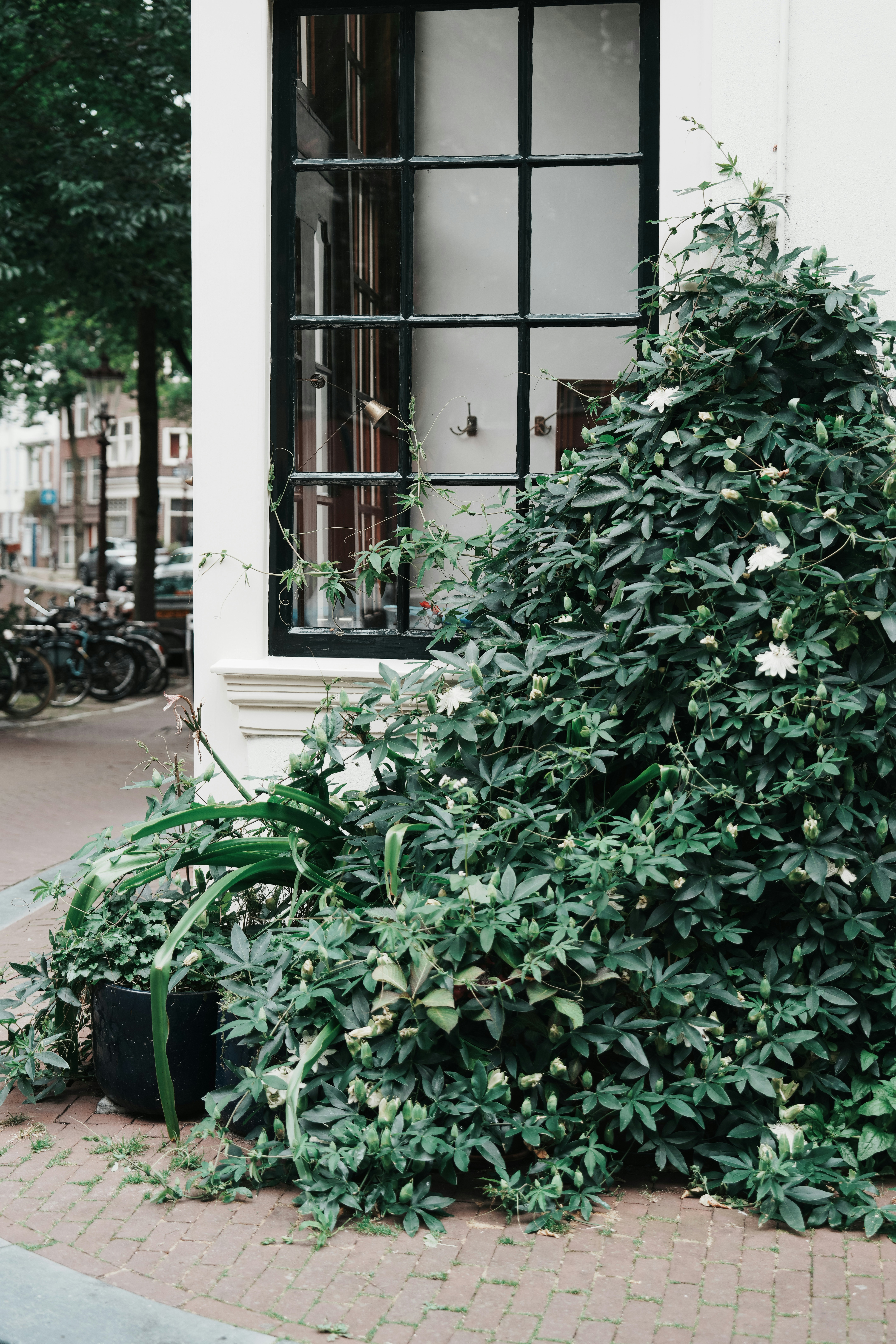 Photo by anyachernykh