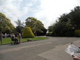 The scene depicts a park setting with a pathway and lush greenery, featuring several people. A person in a wheelchair is being assisted by another individual, while others in the distance appear to be gathered or walking. Bushes and tall trees surround the area, and a person on the right side of the image is holding a map.