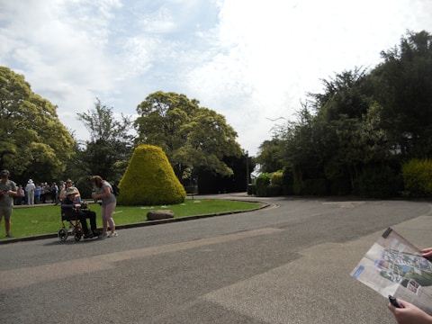 The scene depicts a park setting with a pathway and lush greenery, featuring several people. A person in a wheelchair is being assisted by another individual, while others in the distance appear to be gathered or walking. Bushes and tall trees surround the area, and a person on the right side of the image is holding a map.