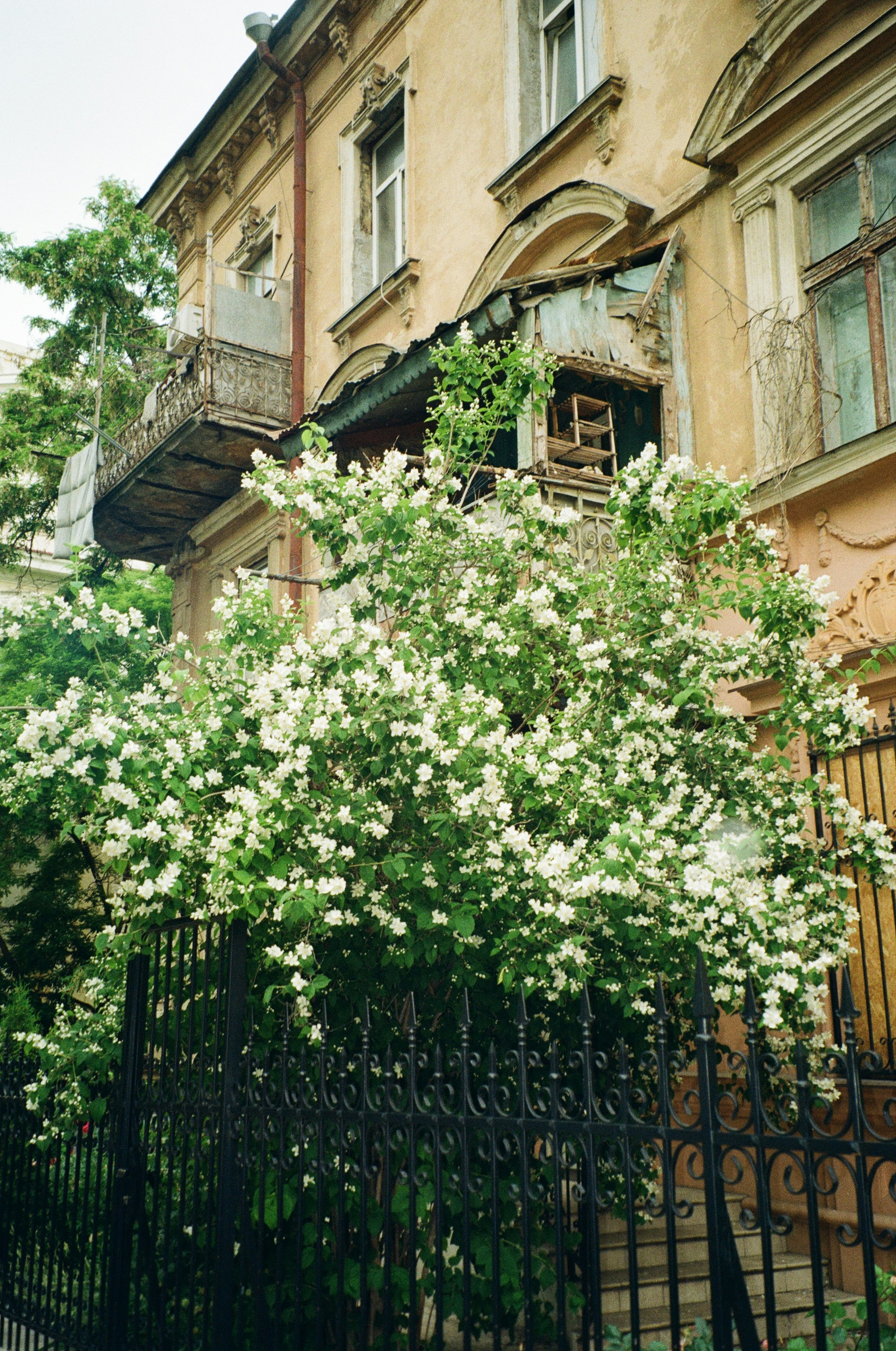 Photo by tania_ladanova