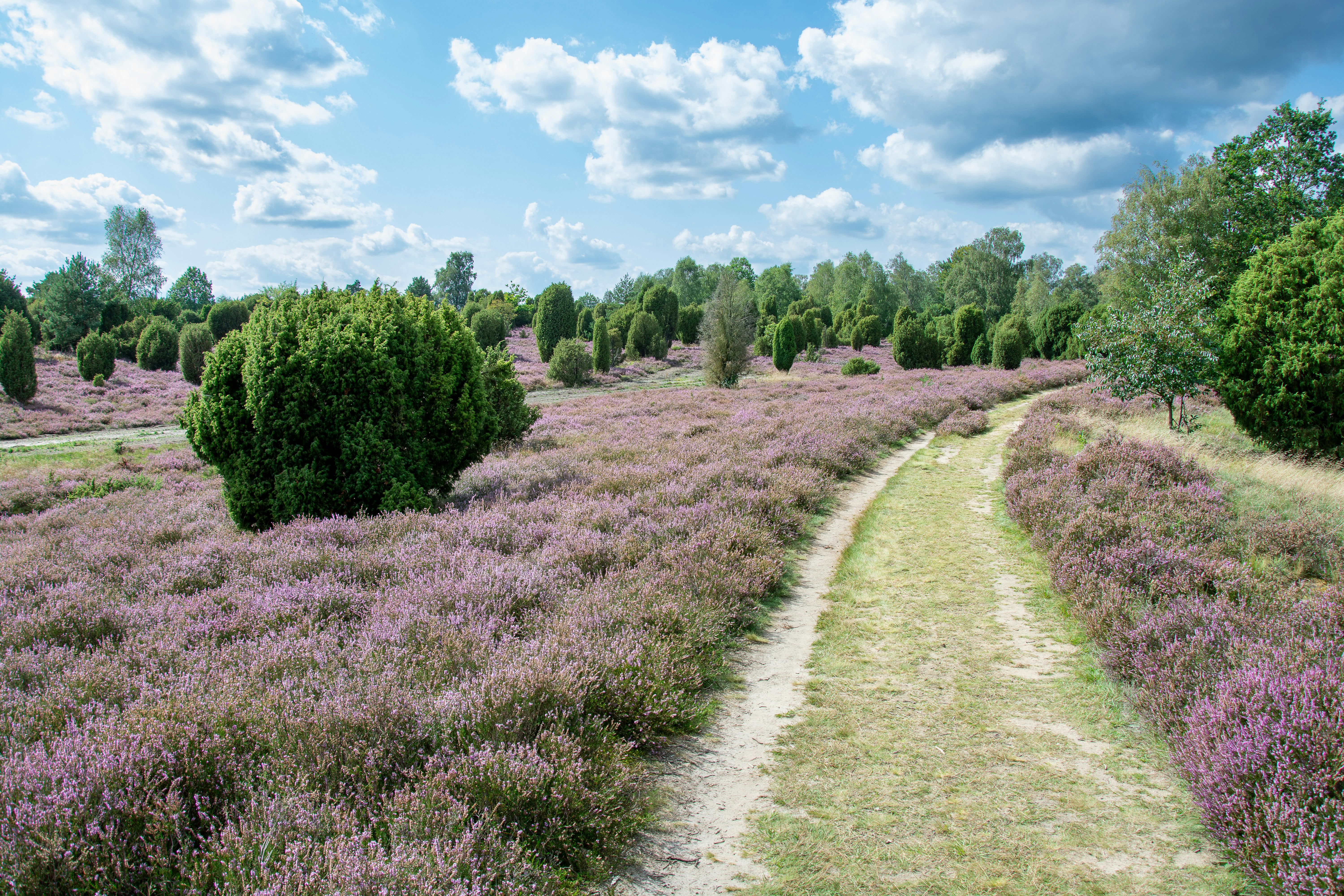 Photo by hanjo_amann