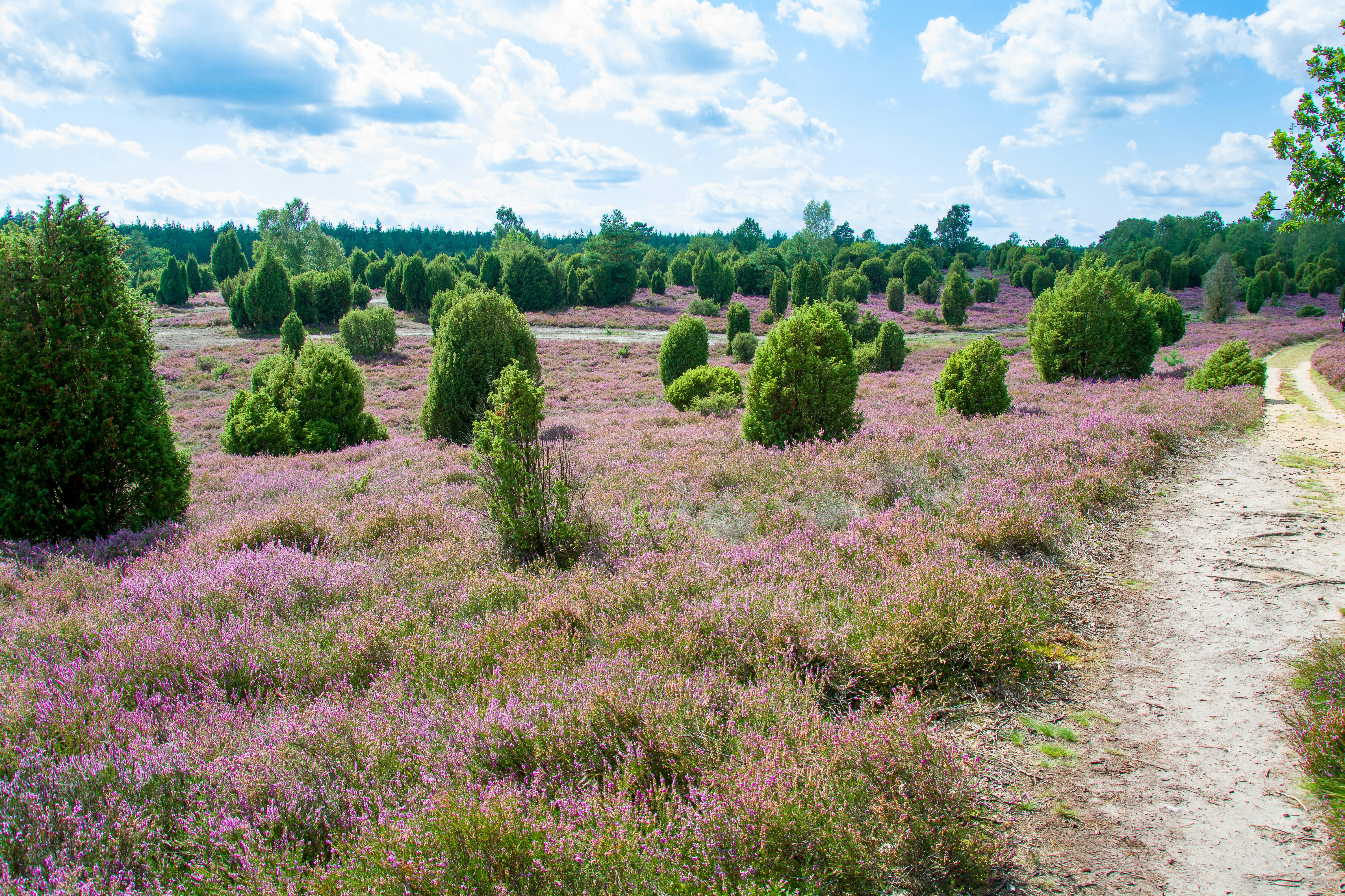 Photo by hanjo_amann