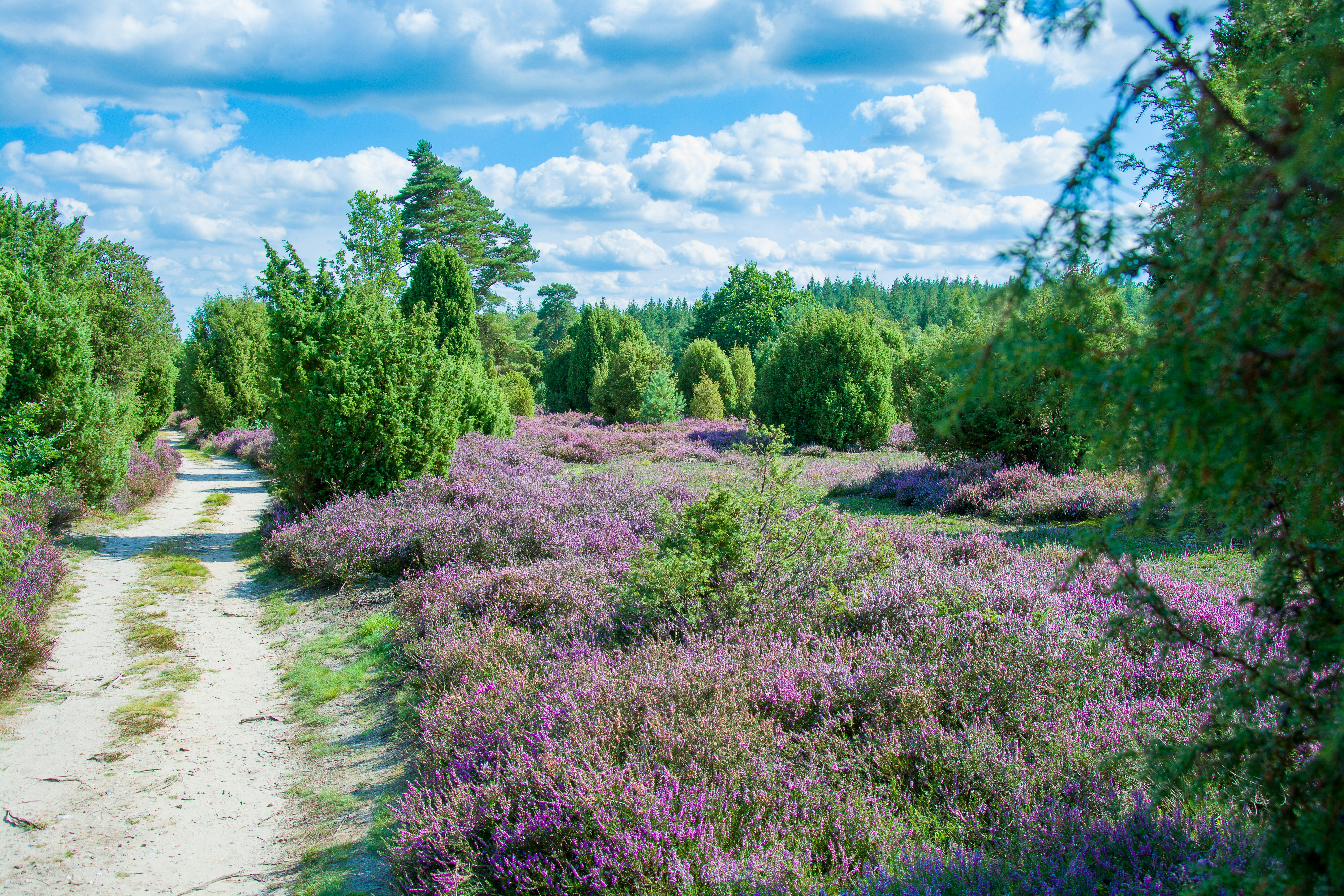 Photo by hanjo_amann