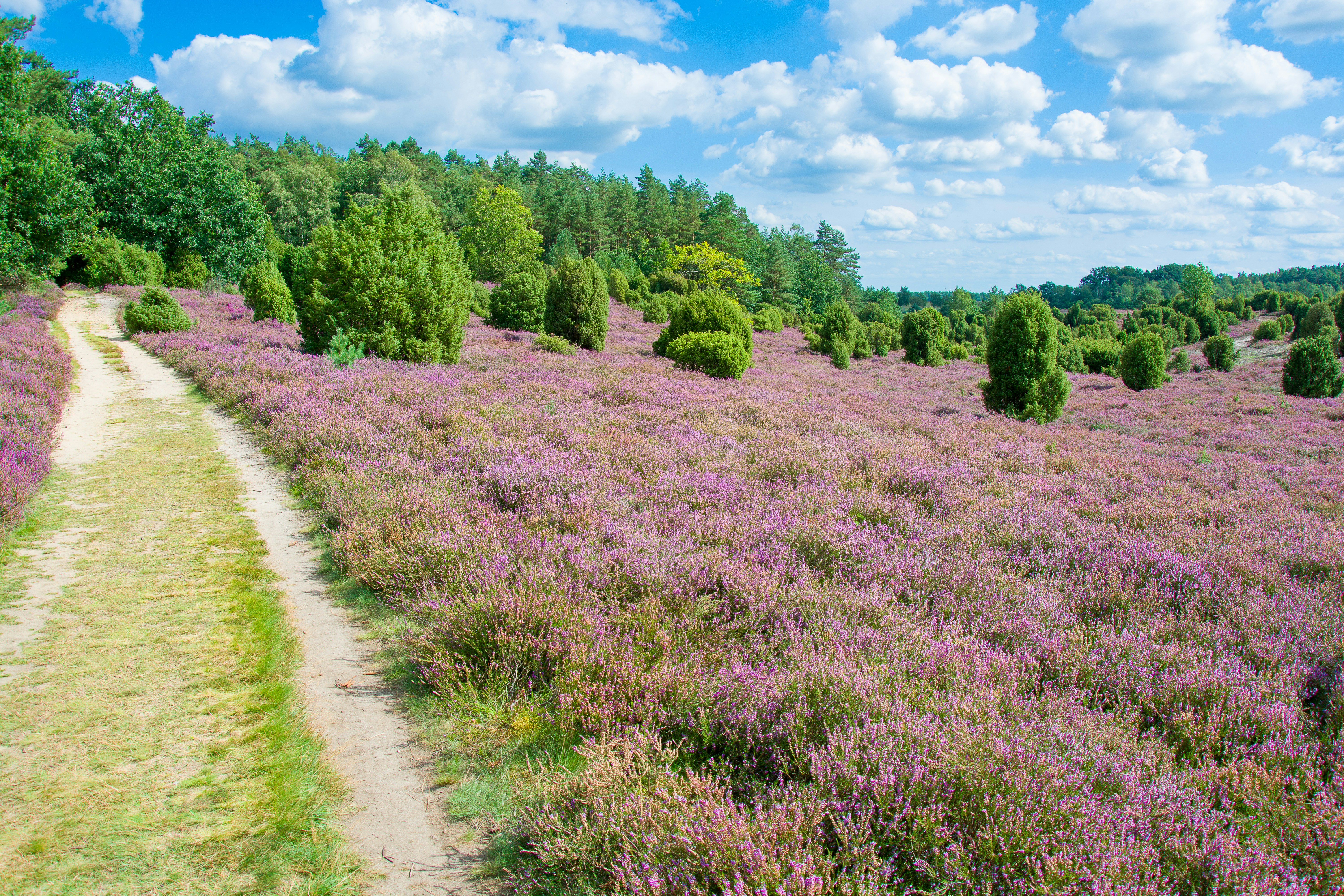 Photo by hanjo_amann