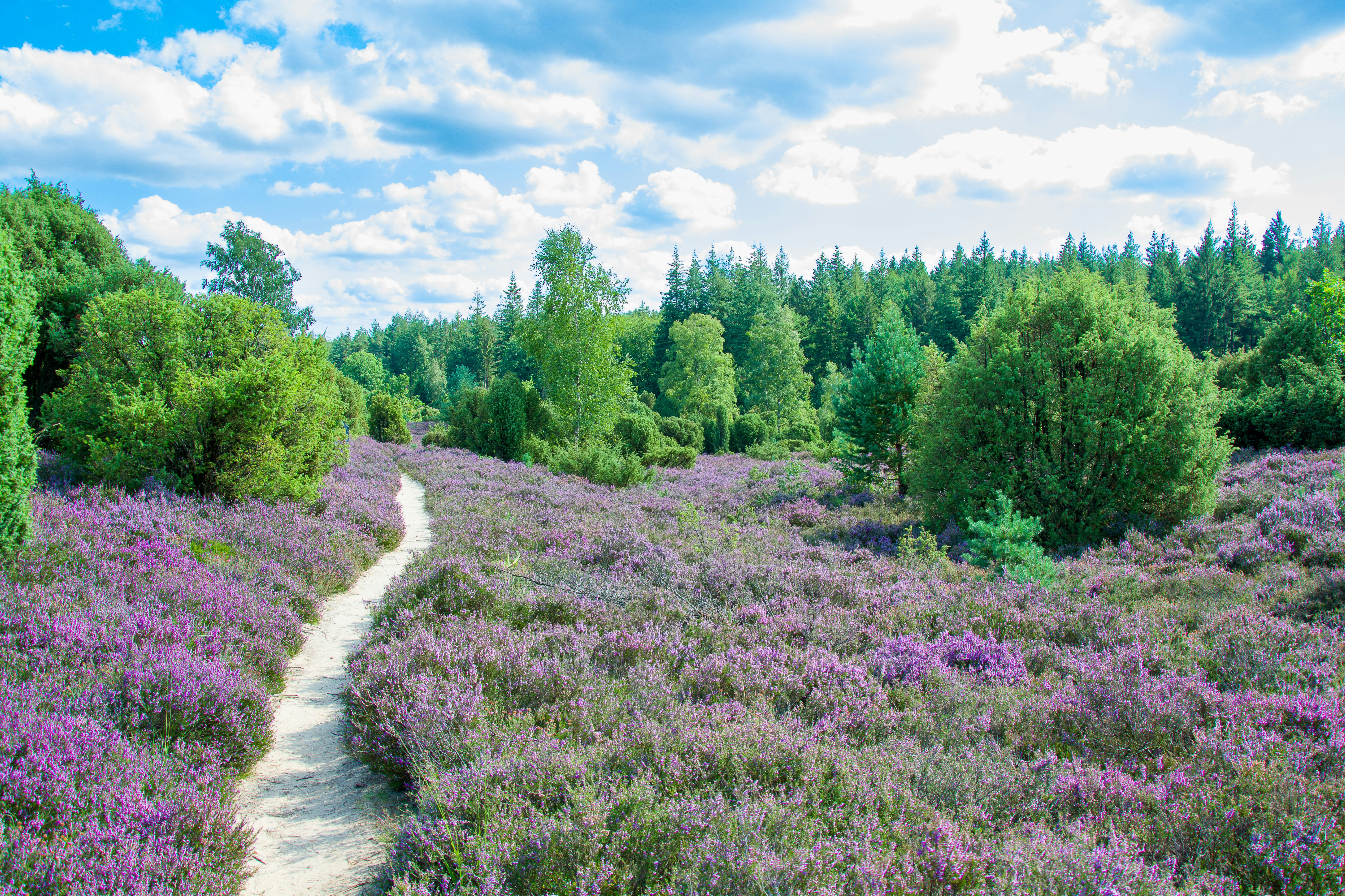 Photo by hanjo_amann