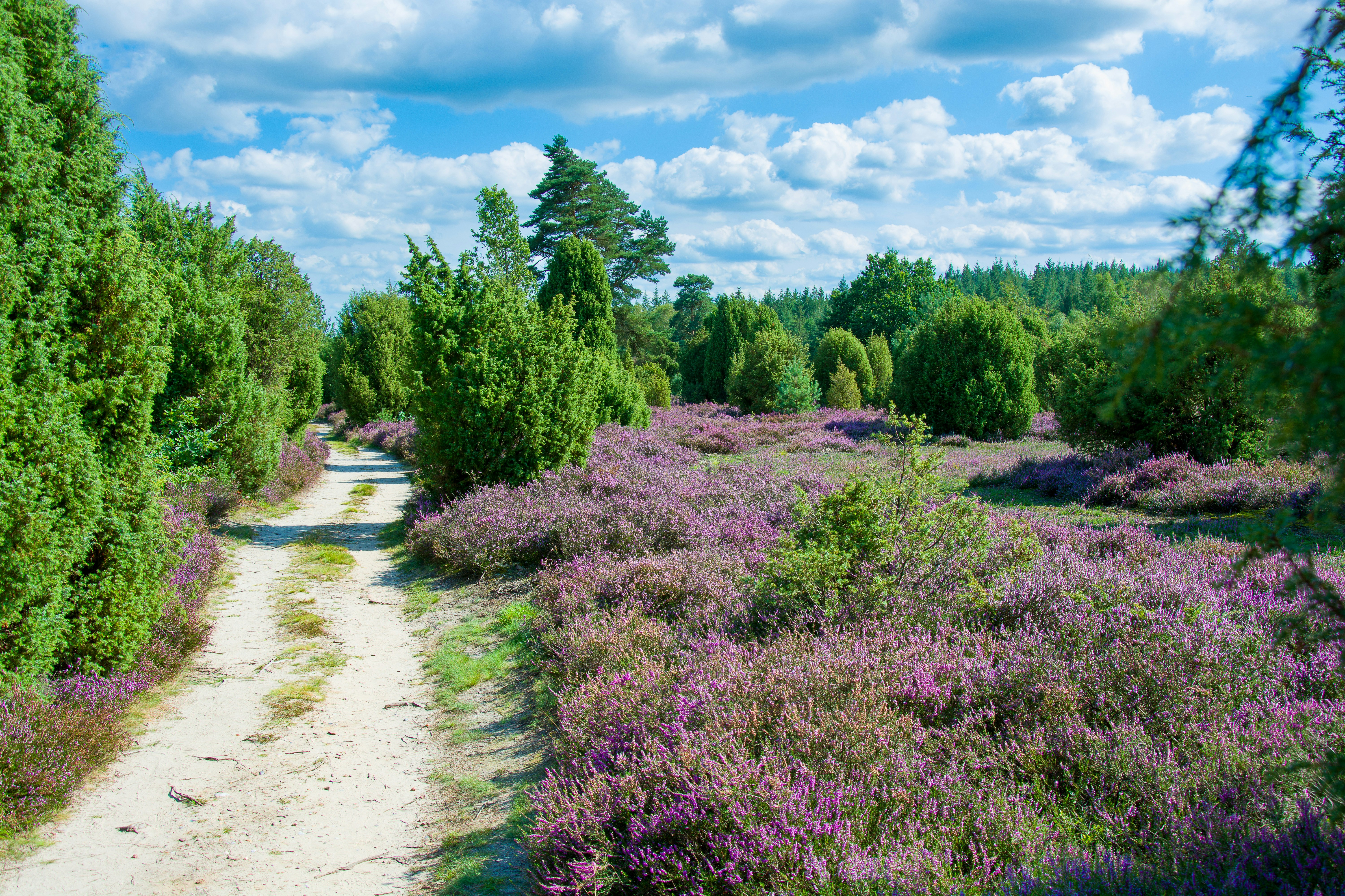 Photo by hanjo_amann