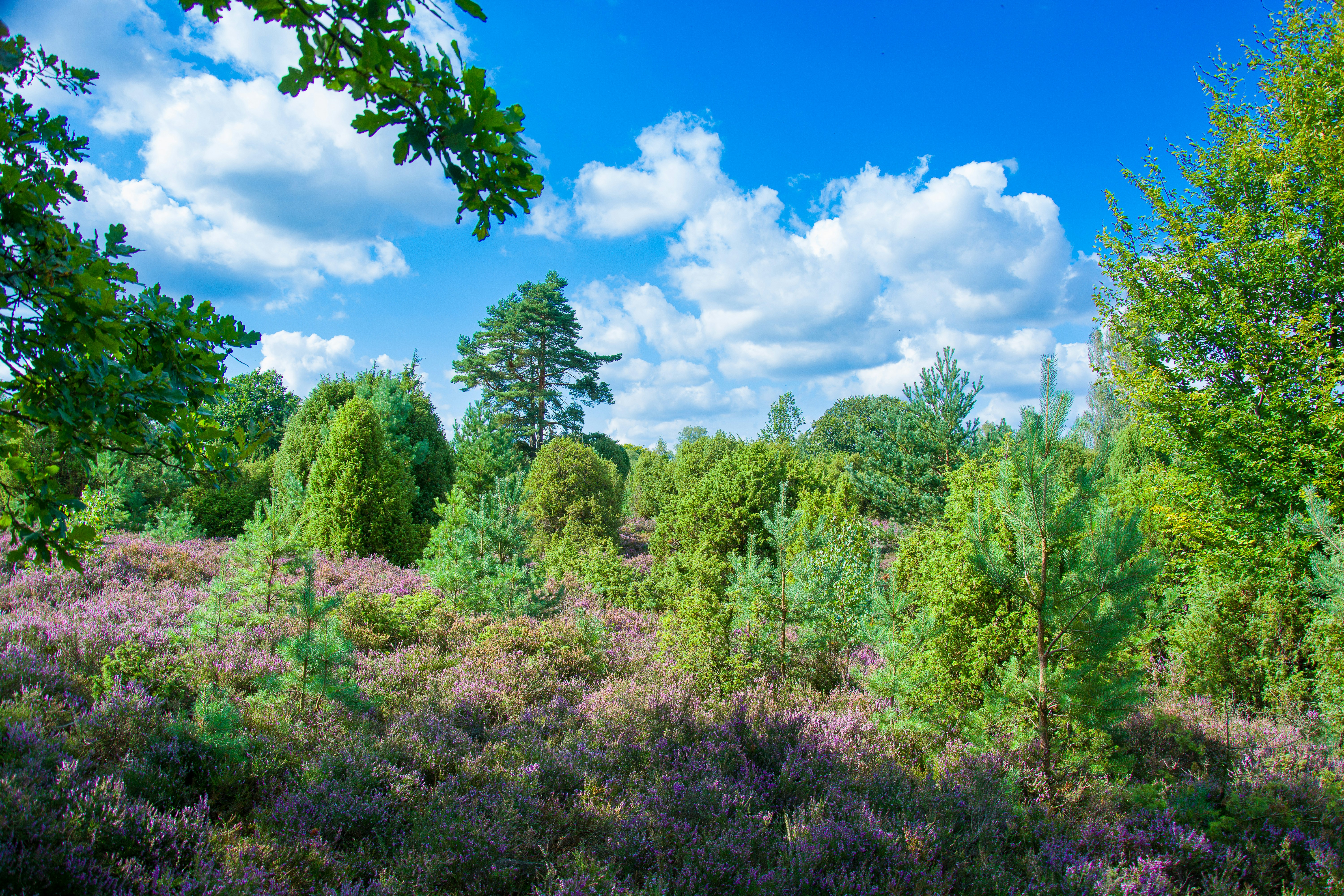 Photo by hanjo_amann