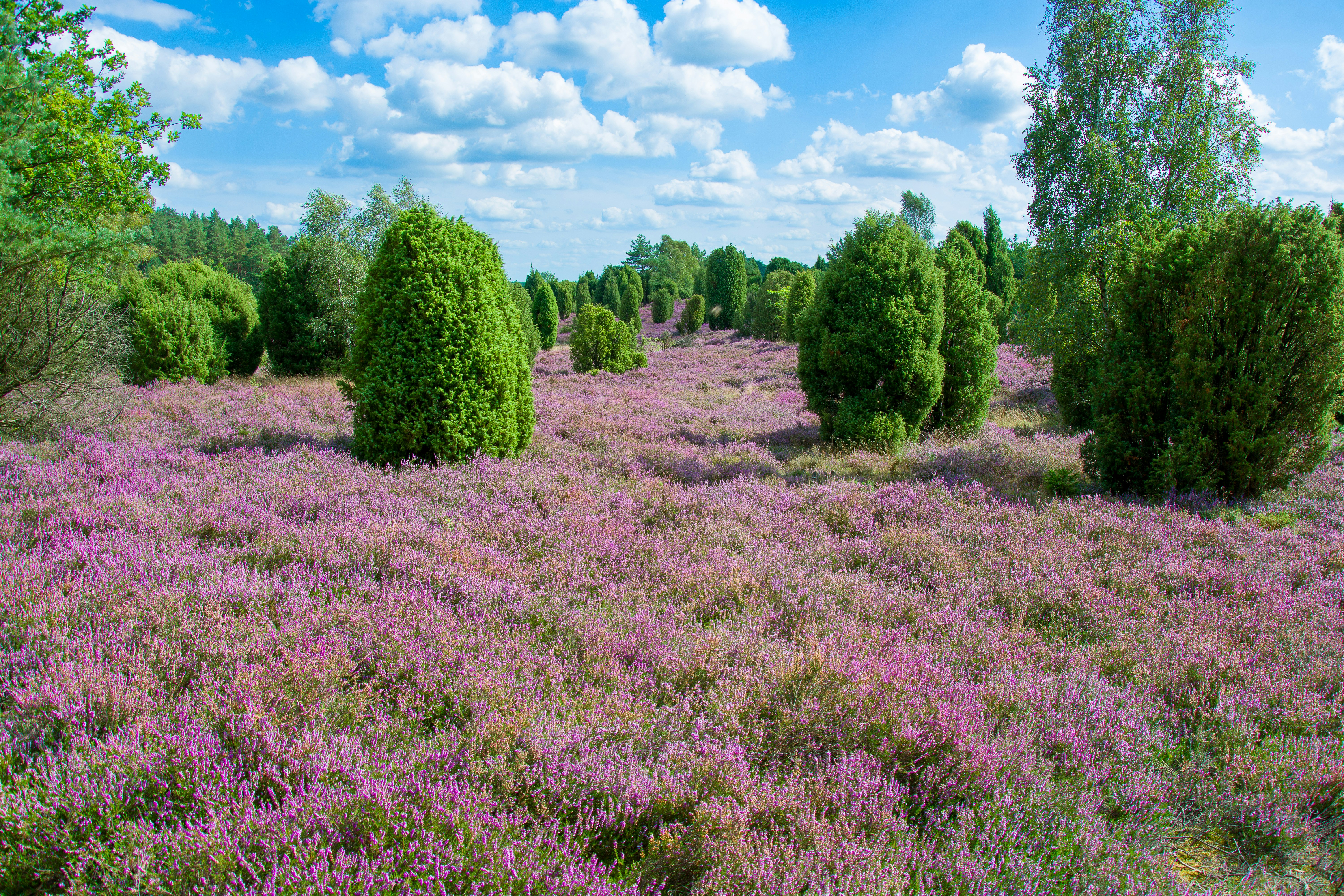 Photo by hanjo_amann