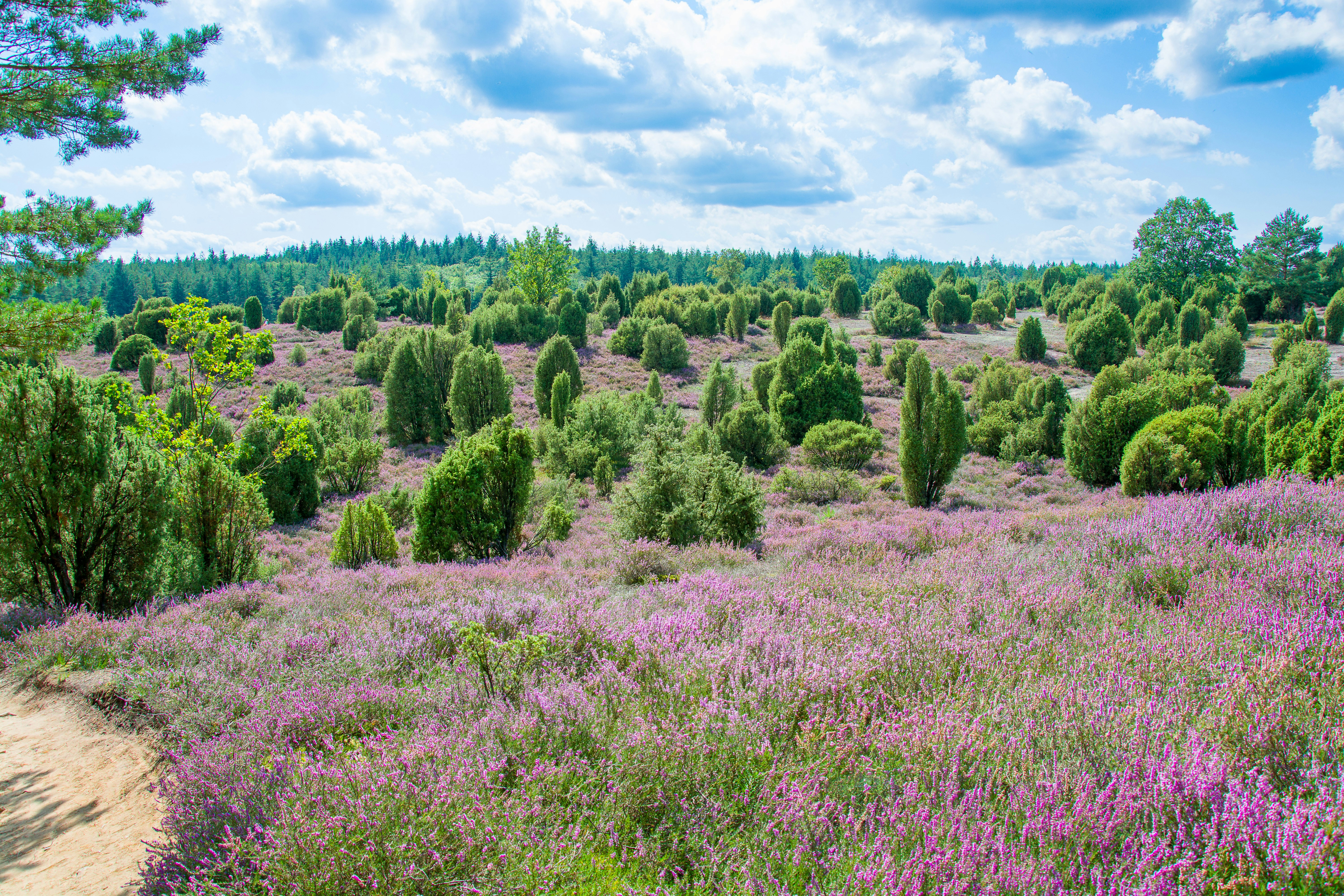 Photo by hanjo_amann