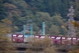A moving freight train is captured in motion, with bright cargo containers prominently displayed against a backdrop of blurred greenery and utility poles. The train is composed of purple and blue containers, each bearing distinctive logos and text.