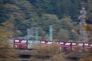 A moving freight train is captured in motion, with bright cargo containers prominently displayed against a backdrop of blurred greenery and utility poles. The train is composed of purple and blue containers, each bearing distinctive logos and text.