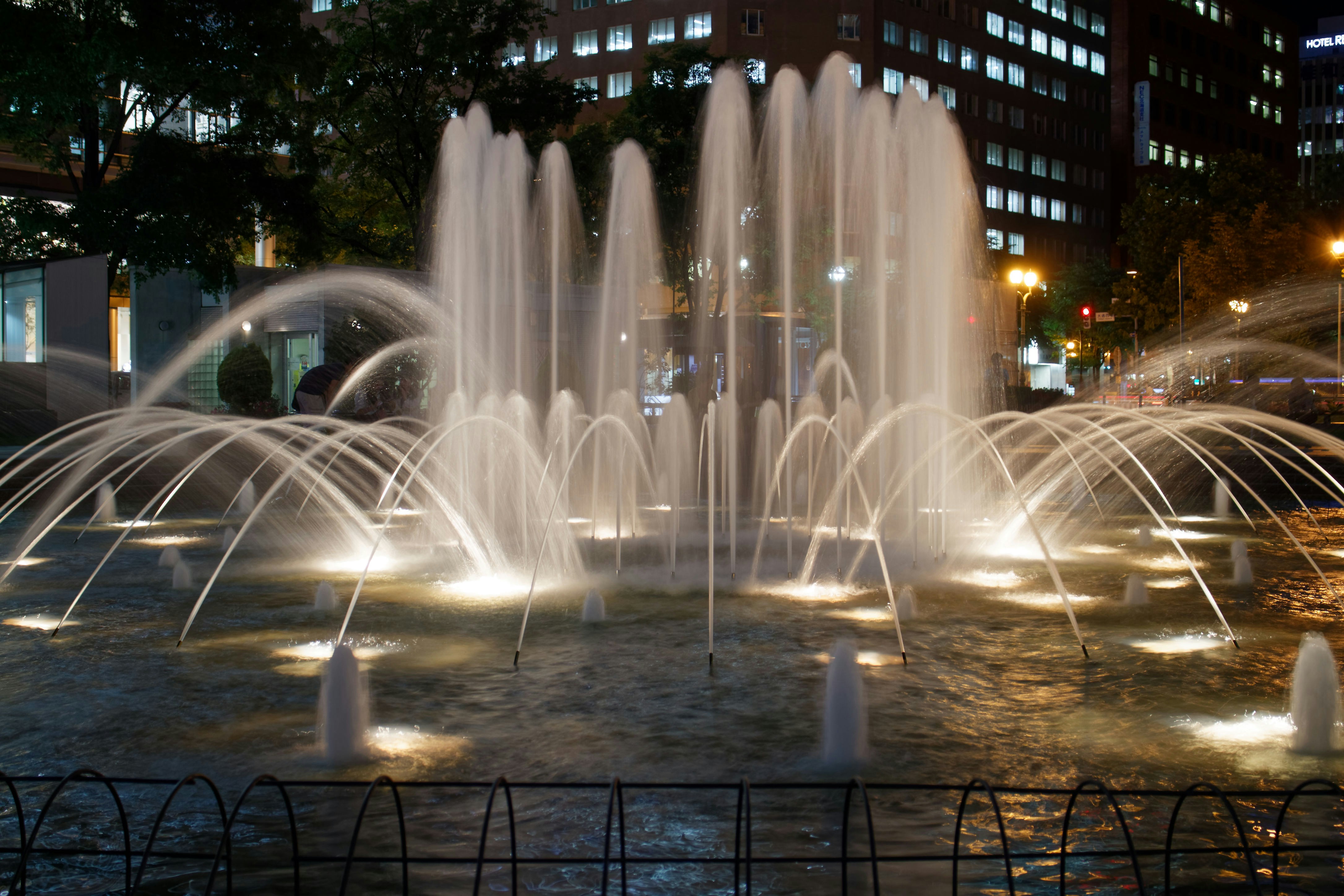 Photo by da_shika_photo