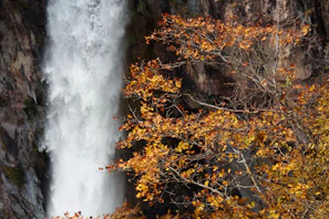 Close-up of water splashing down rugged cliff edges framed by autumn leaves.