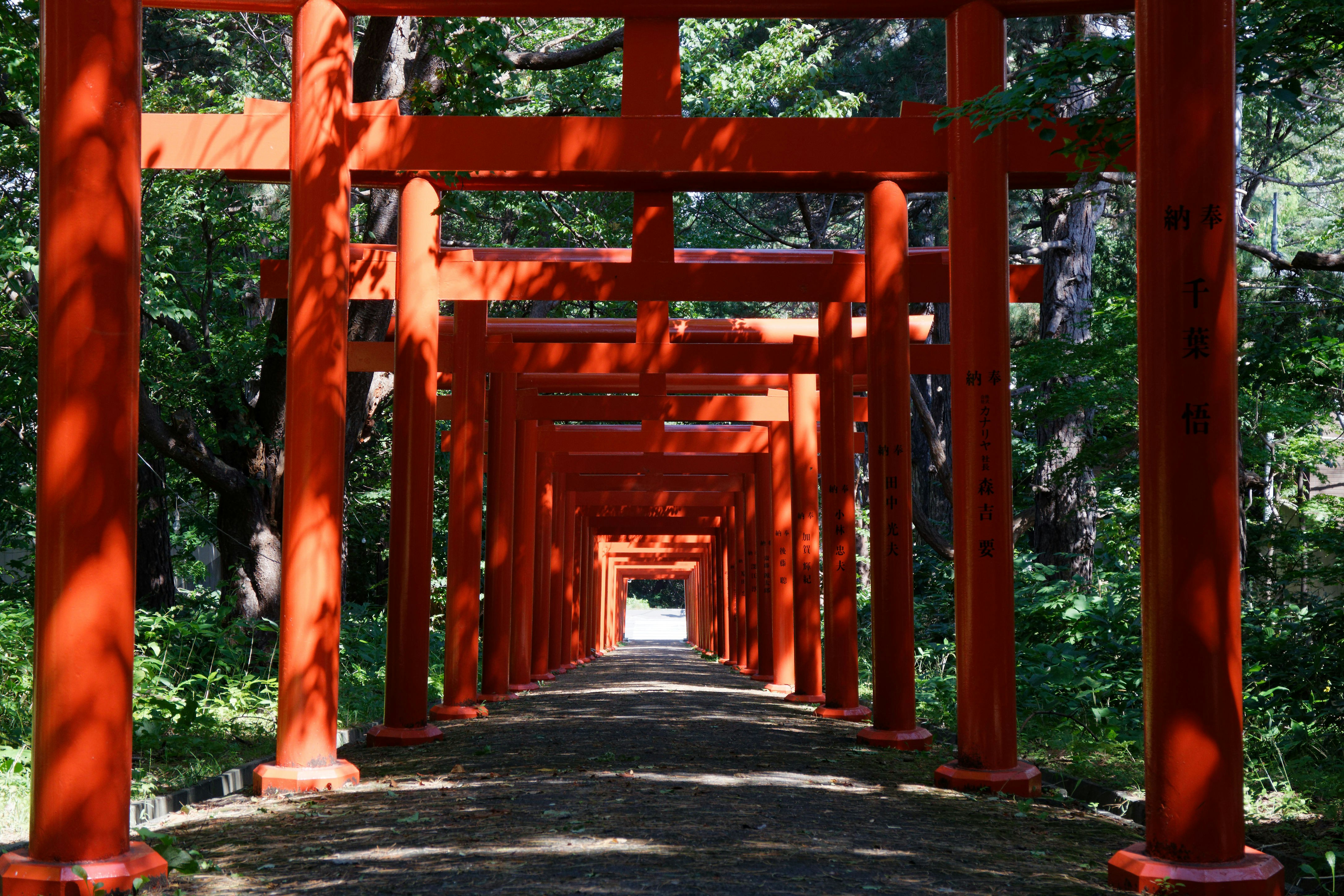 Photo by da_shika_photo