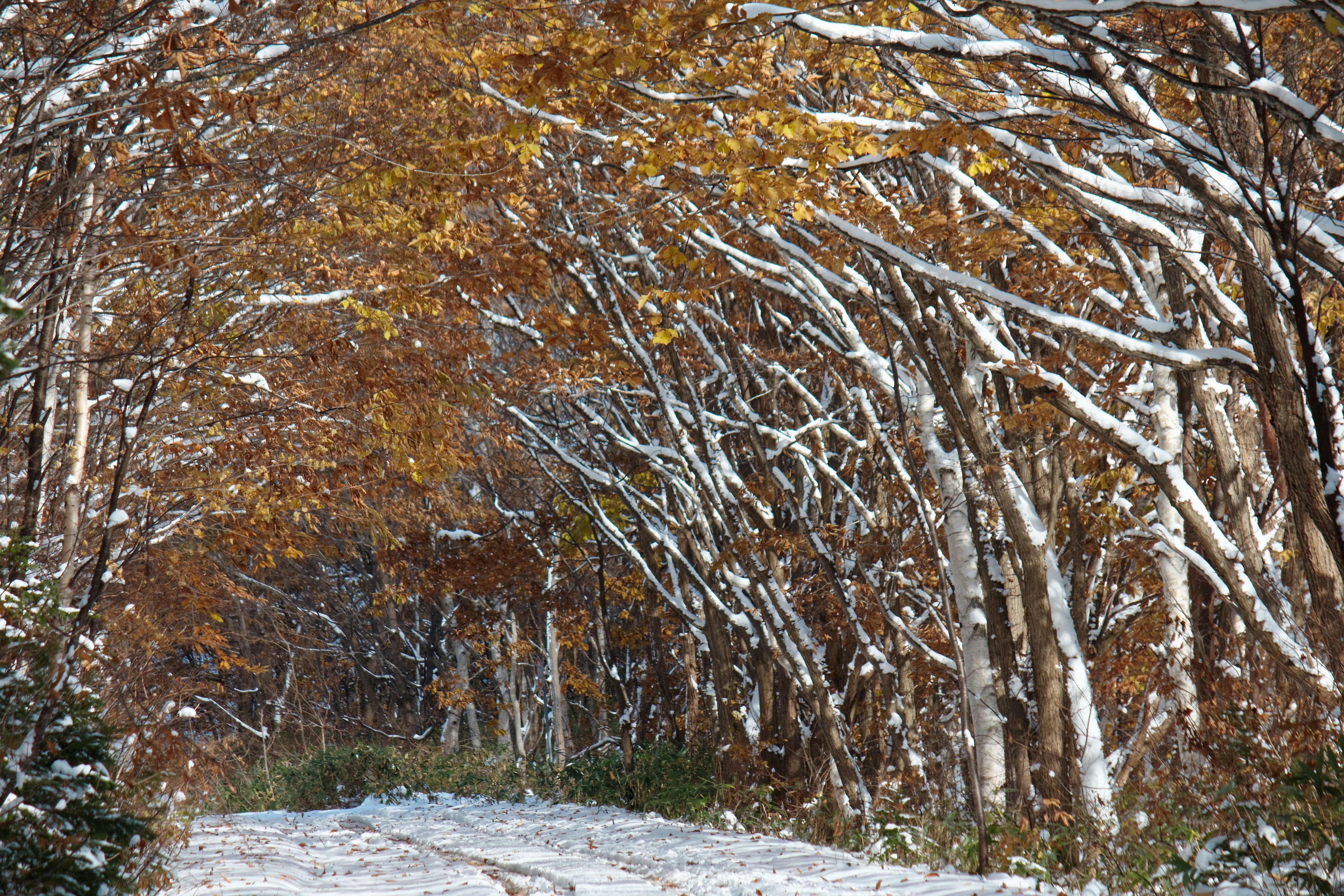 Photo by da_shika_photo