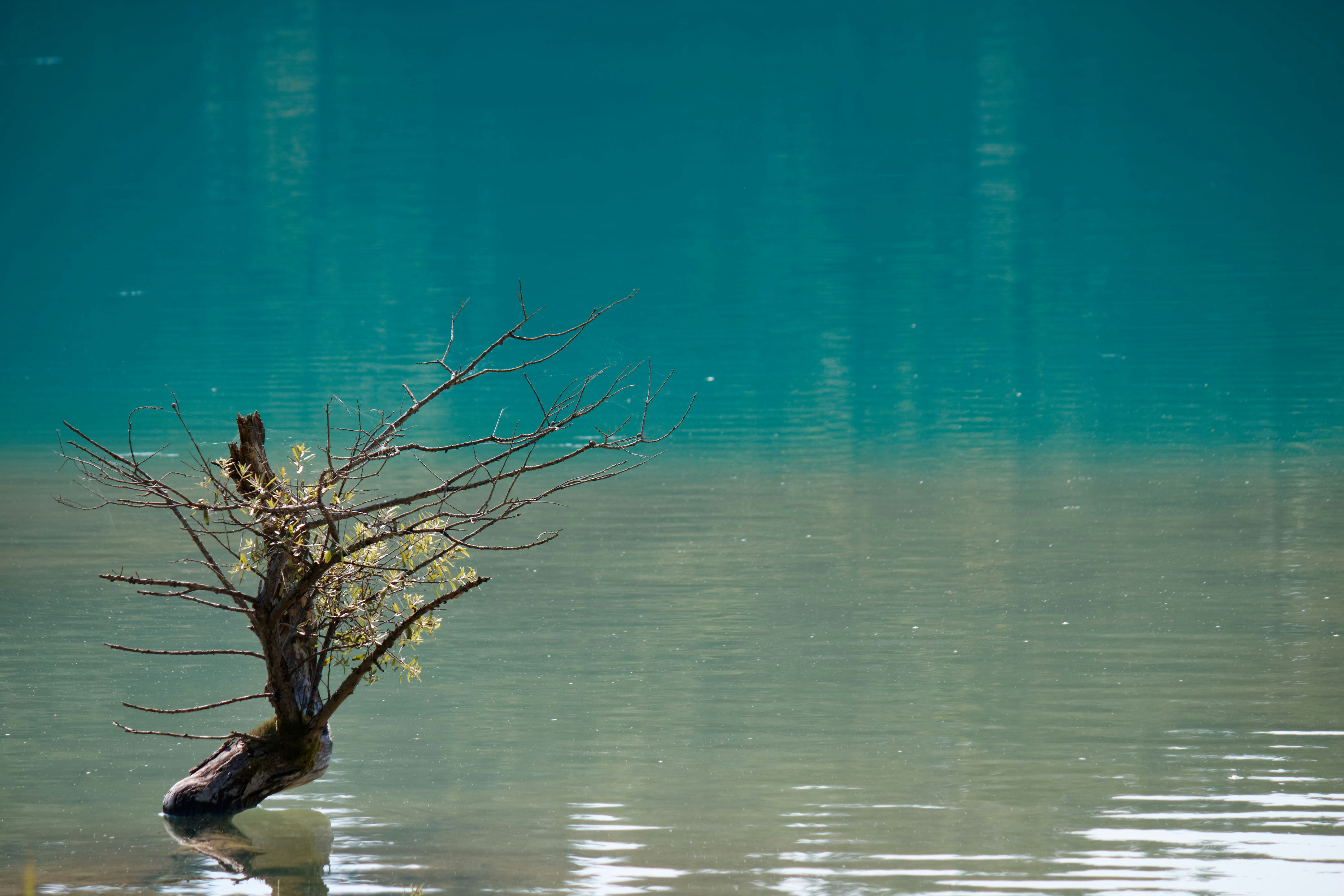 Photo by da_shika_photo