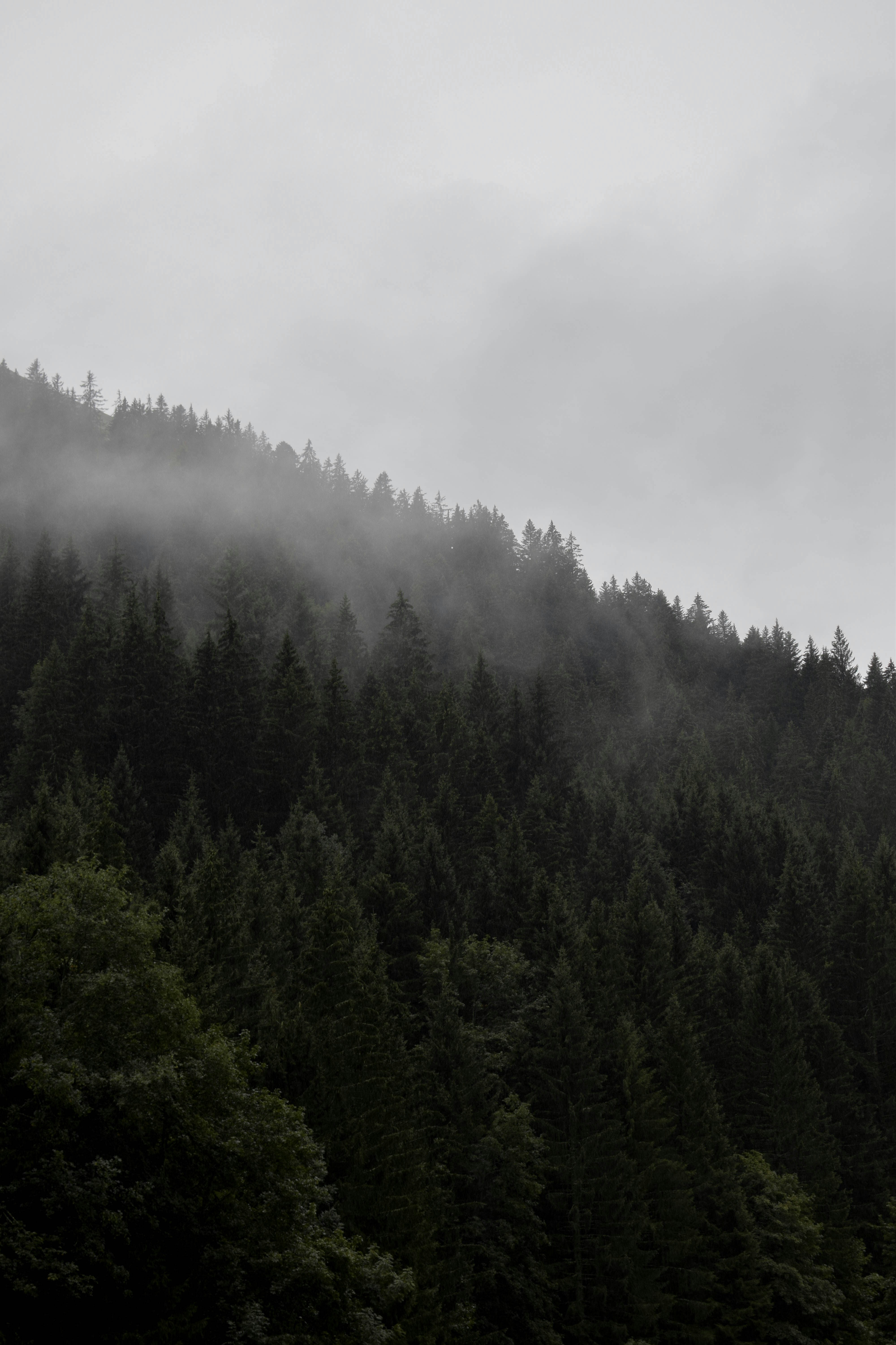 Photo by caroschuermans