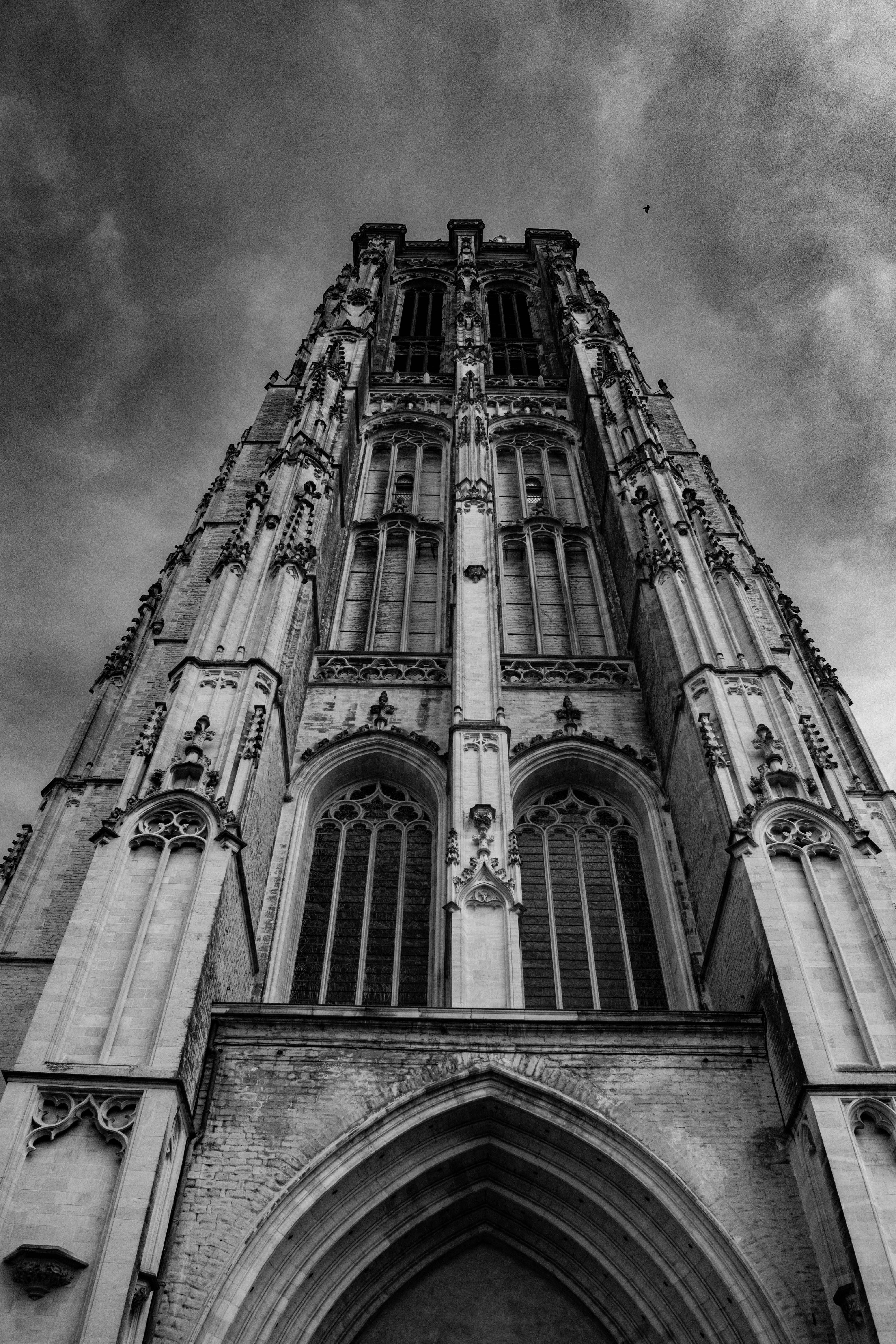 Photo by caroschuermans