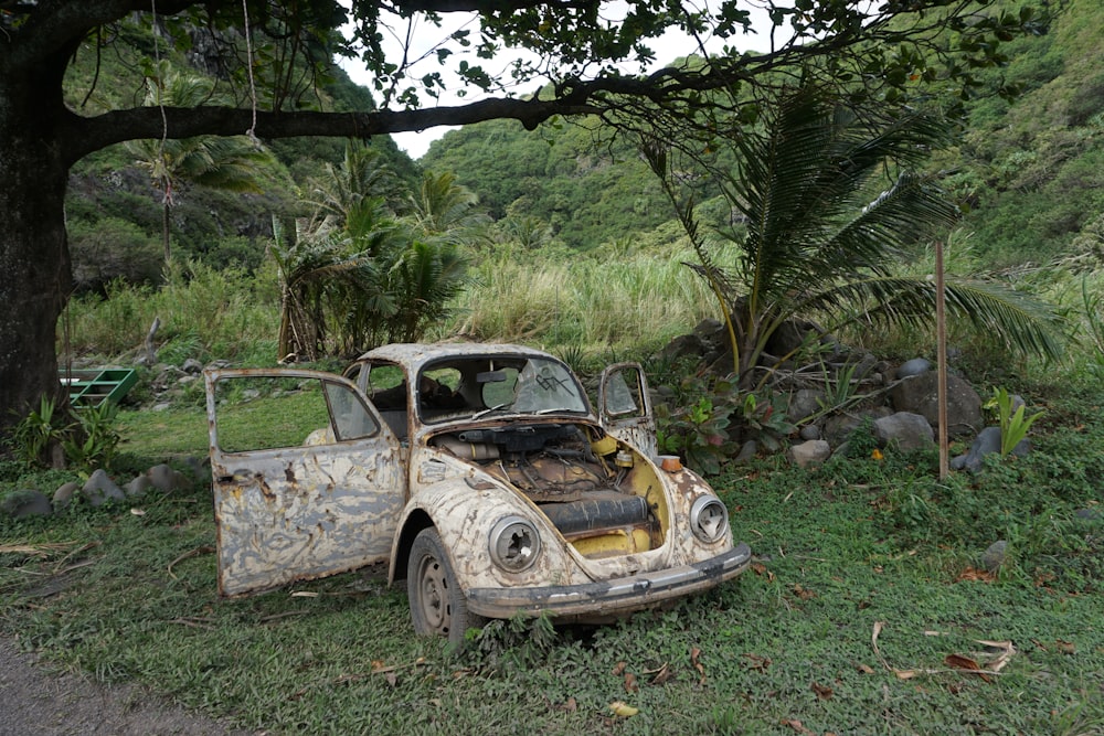 an old car sitting in the grass next to a tree