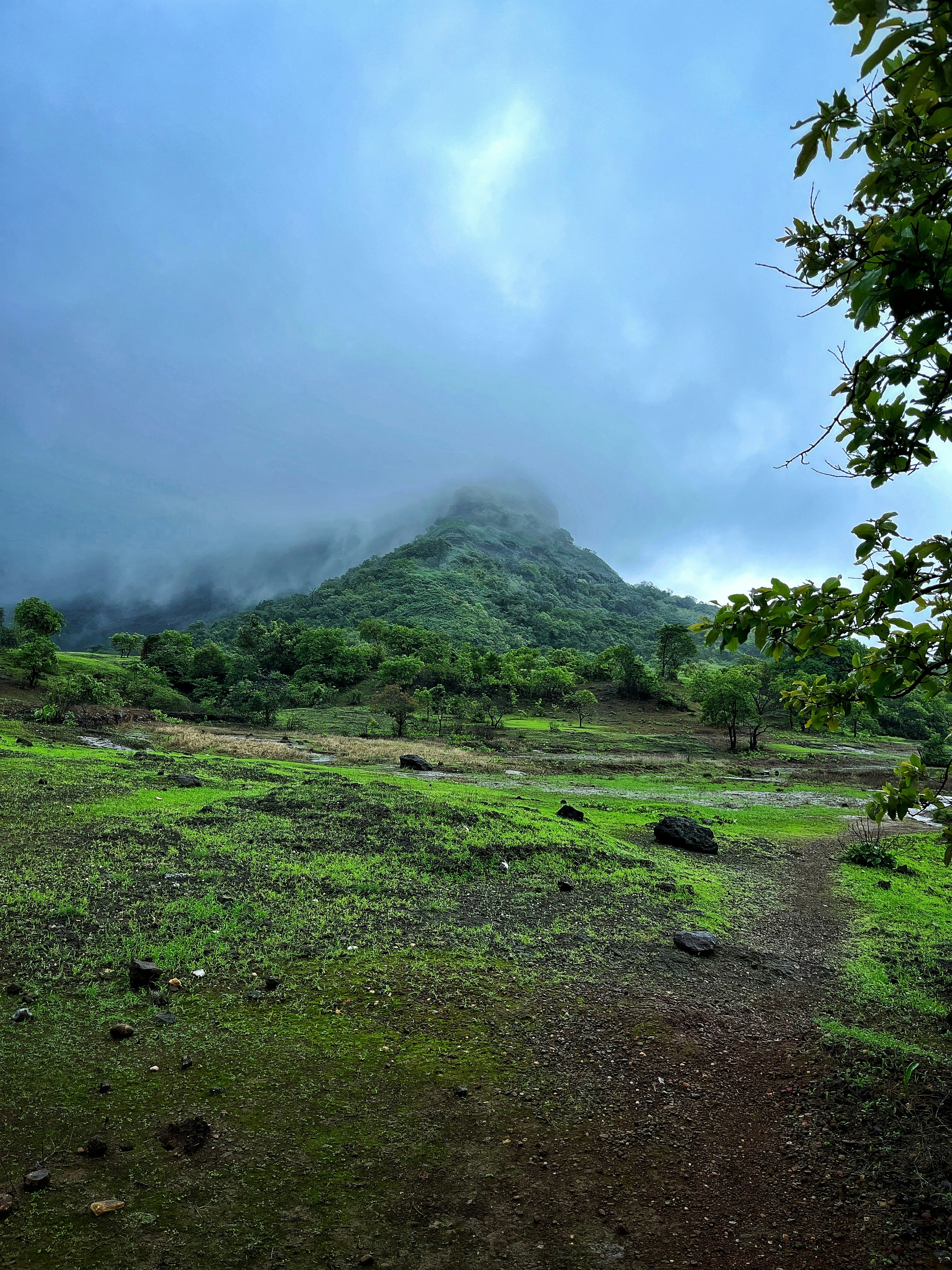 Photo by rimichhabra97