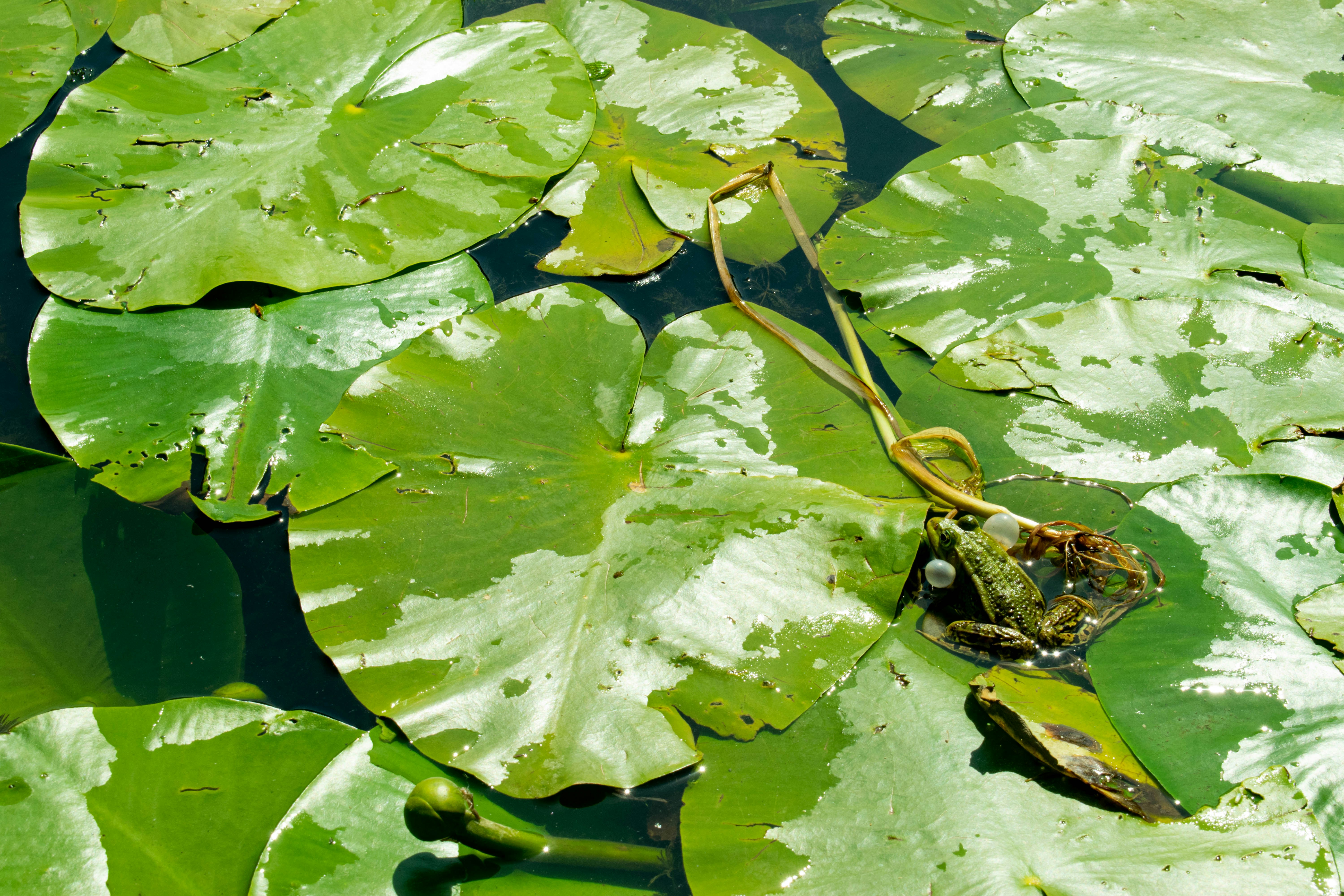 Photo by caroschuermans